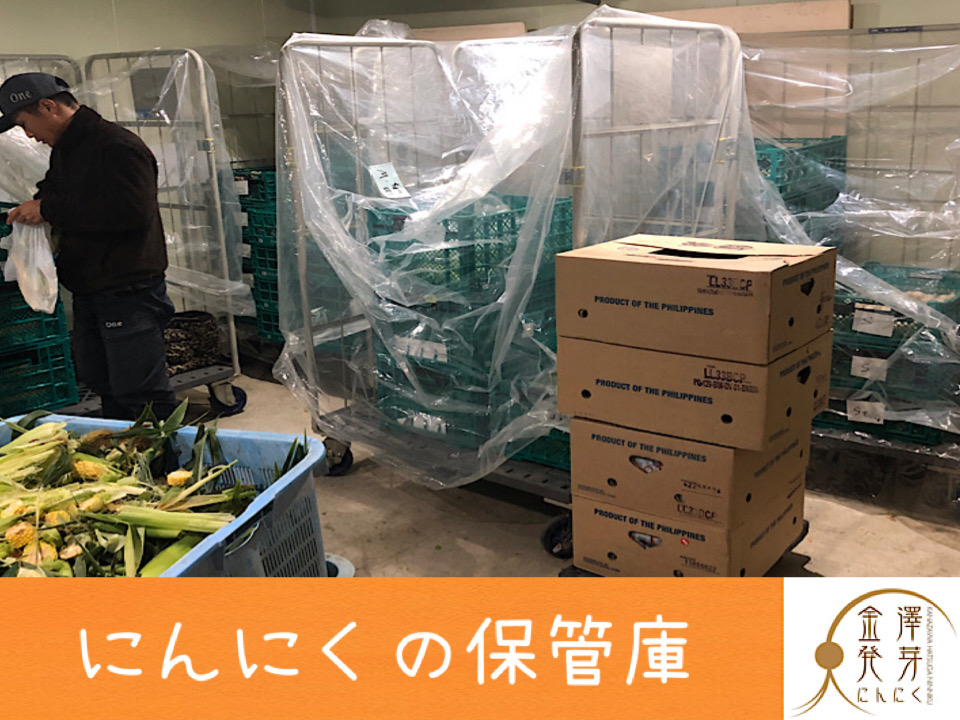 大事に保管されてます！