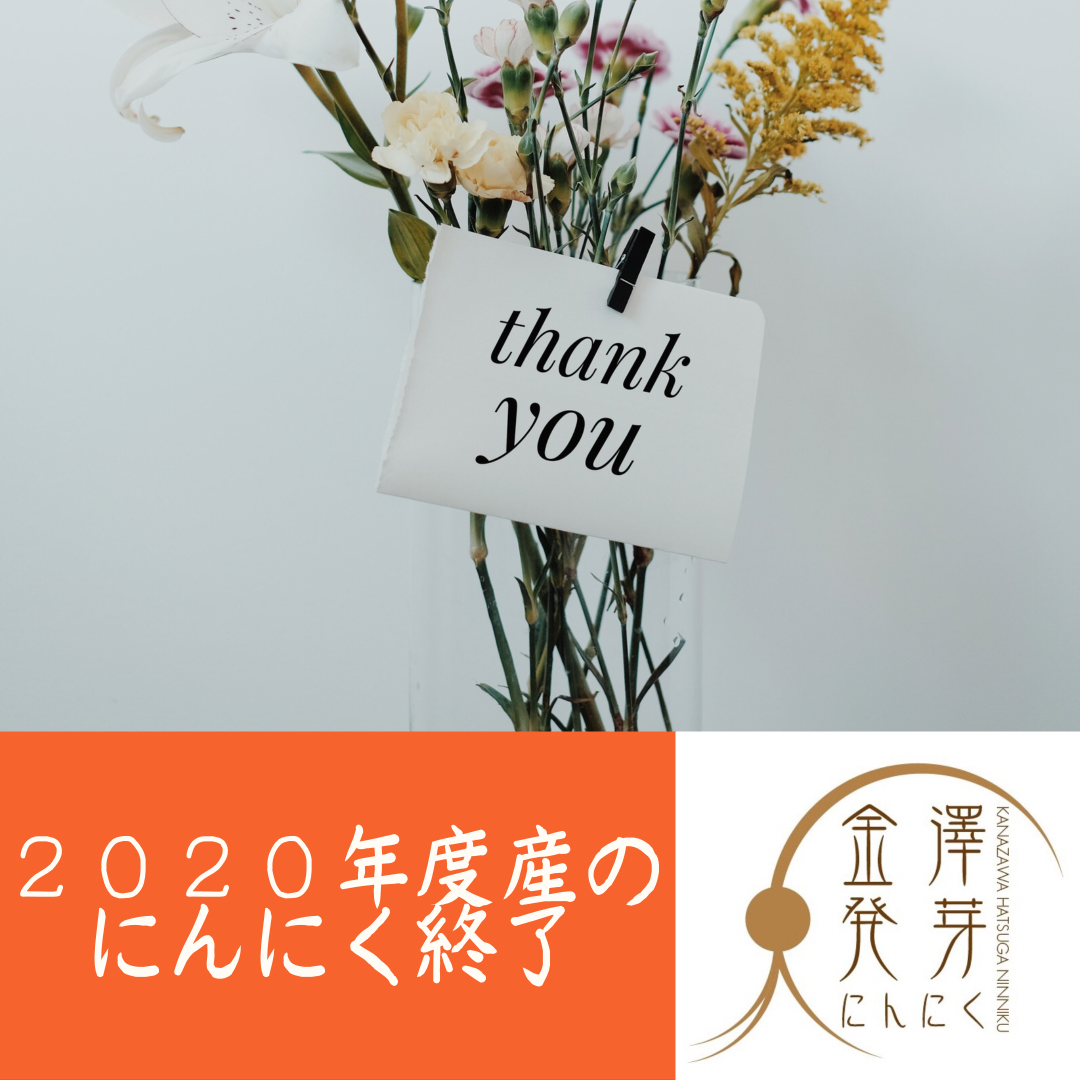 2020年度産発芽にんにく終了