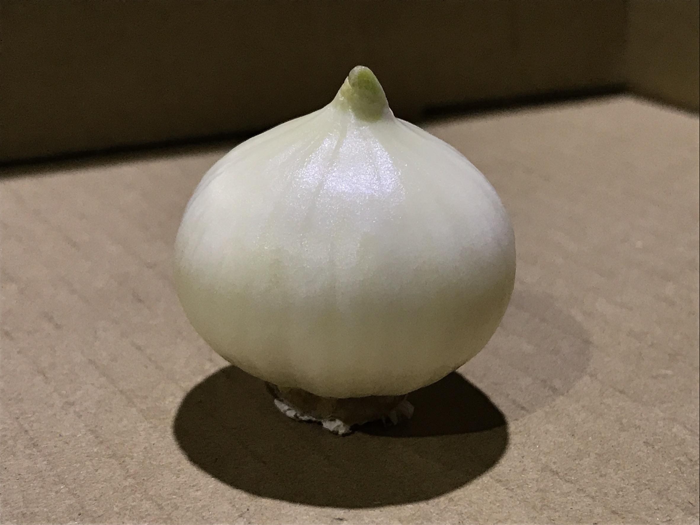 珍種？