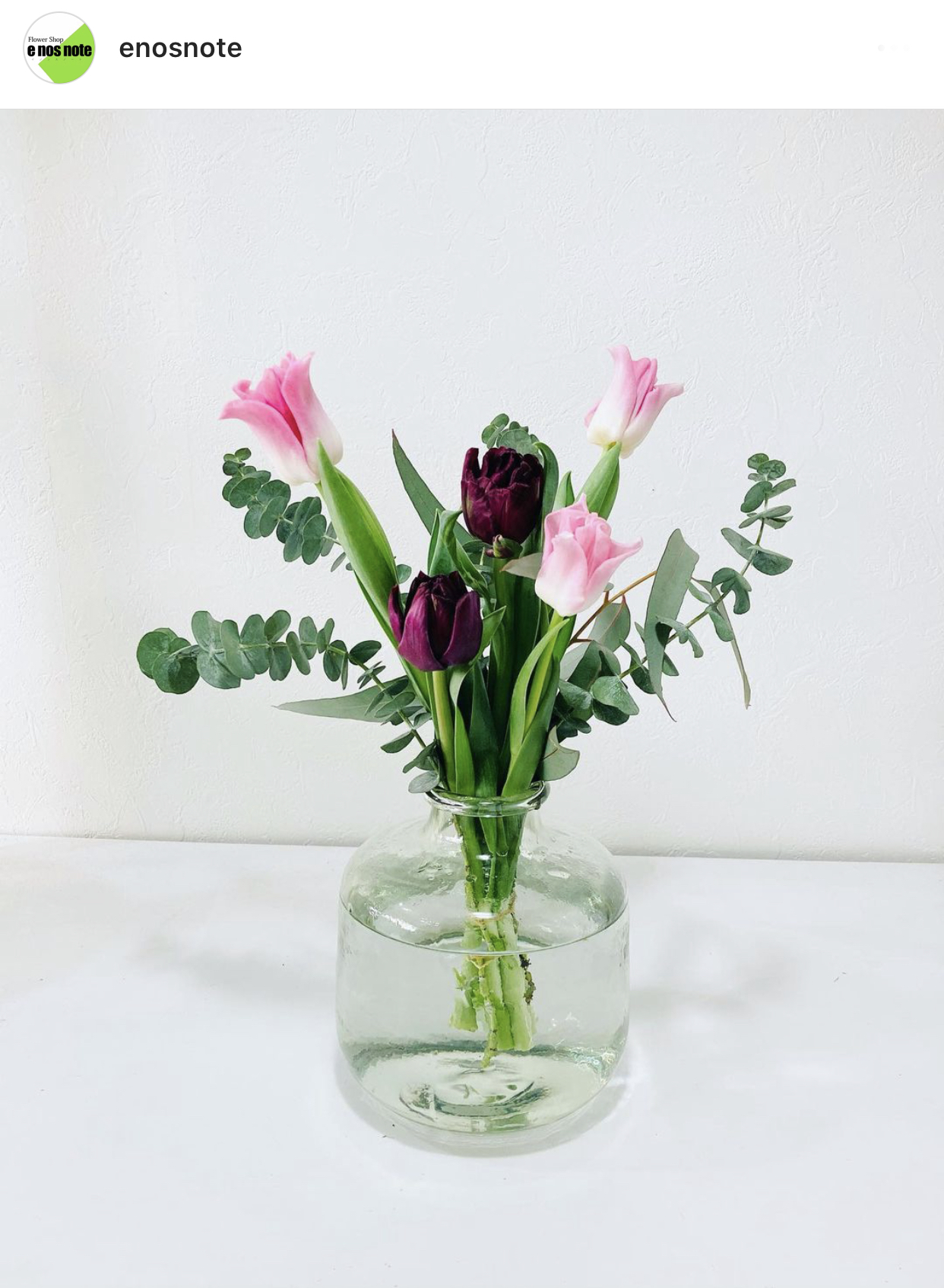 今日のお花🌼  チューリップ・ブラックナイトとダイナスティクラウン