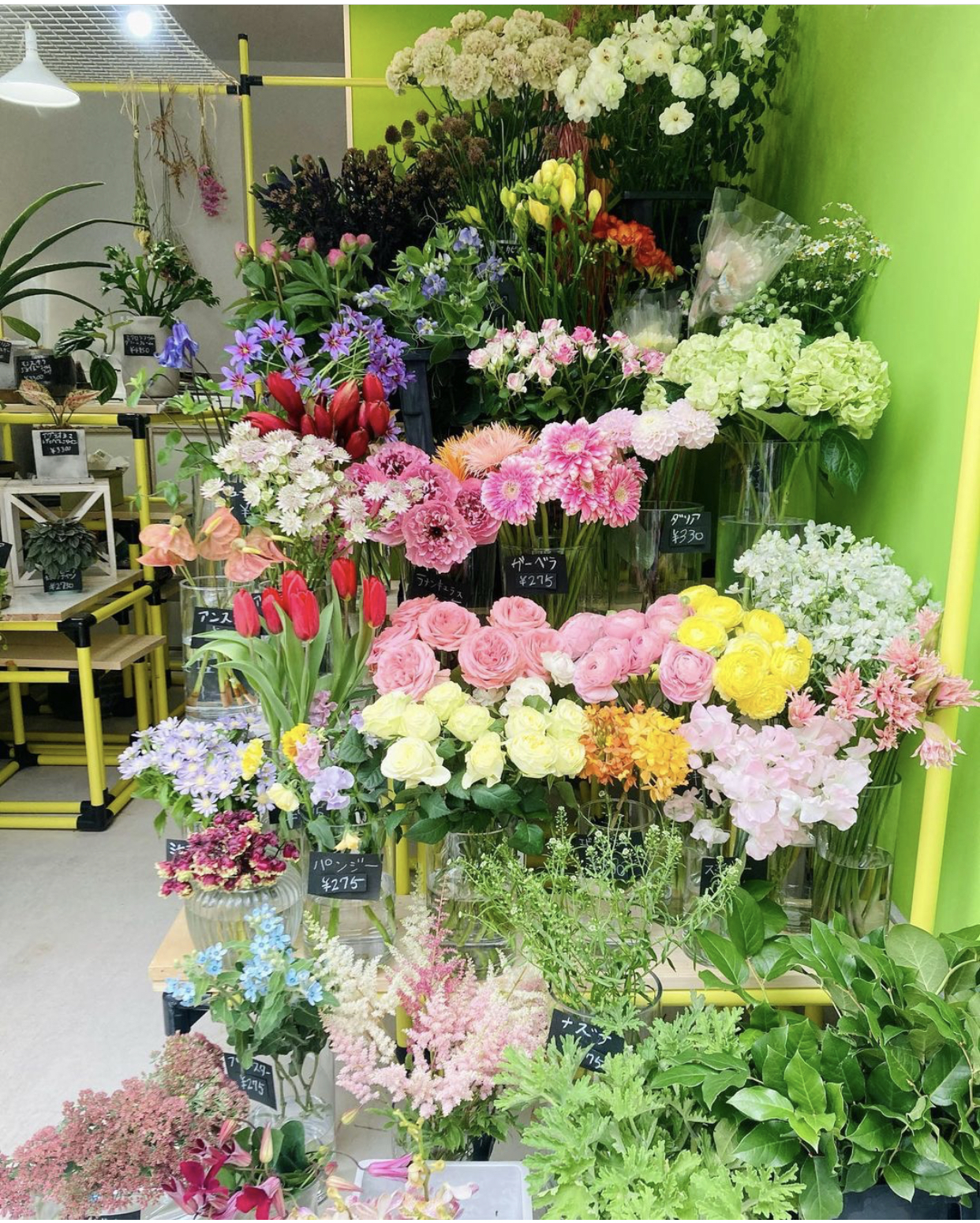 中目黒花屋です 本日オープンしてます E Nos Note 中目黒花屋です 本日オープンしてます E Nos Note