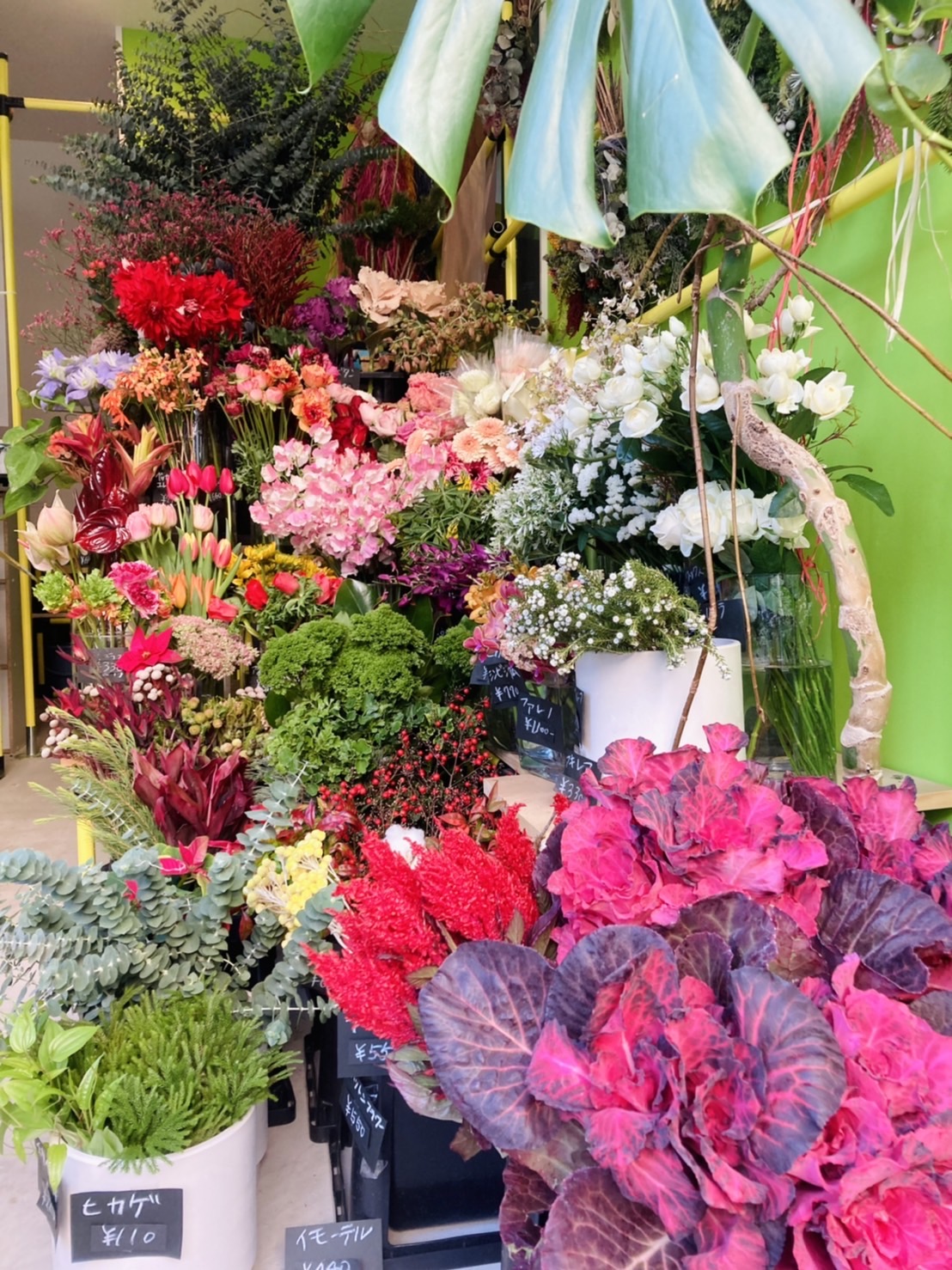 本日のお花バラ E Nos Note 本日のお花バラ E Nos Note