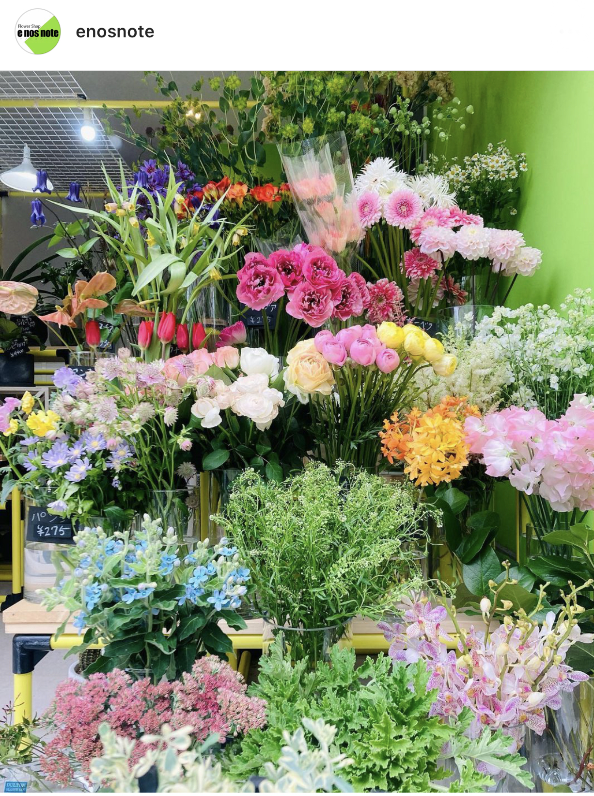 フレッシュなお花モリモリ入荷しましたヨ✌️
