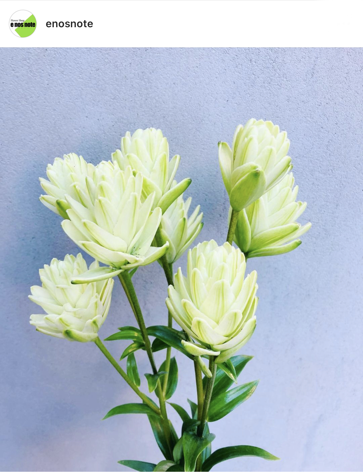 あけましておめでとうございます💐今日のお花🌼  ユリ　ノーブルアイカ