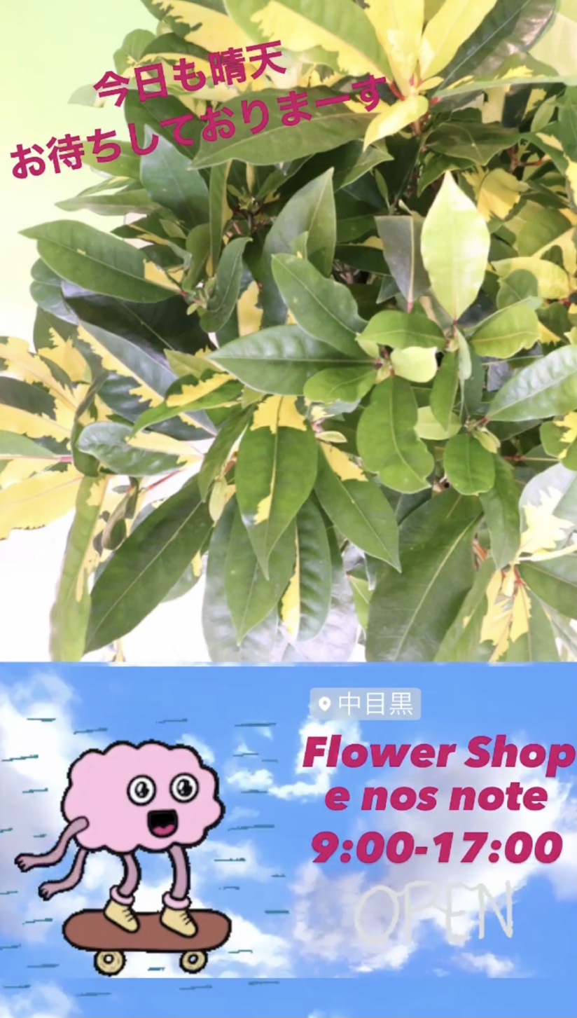 気持ちのいい青空です！