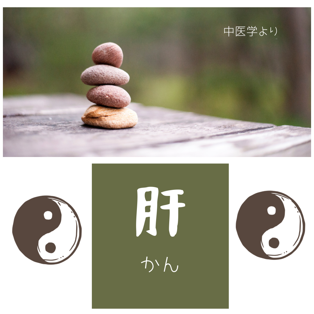 《肝 かん》女性の体と中医学