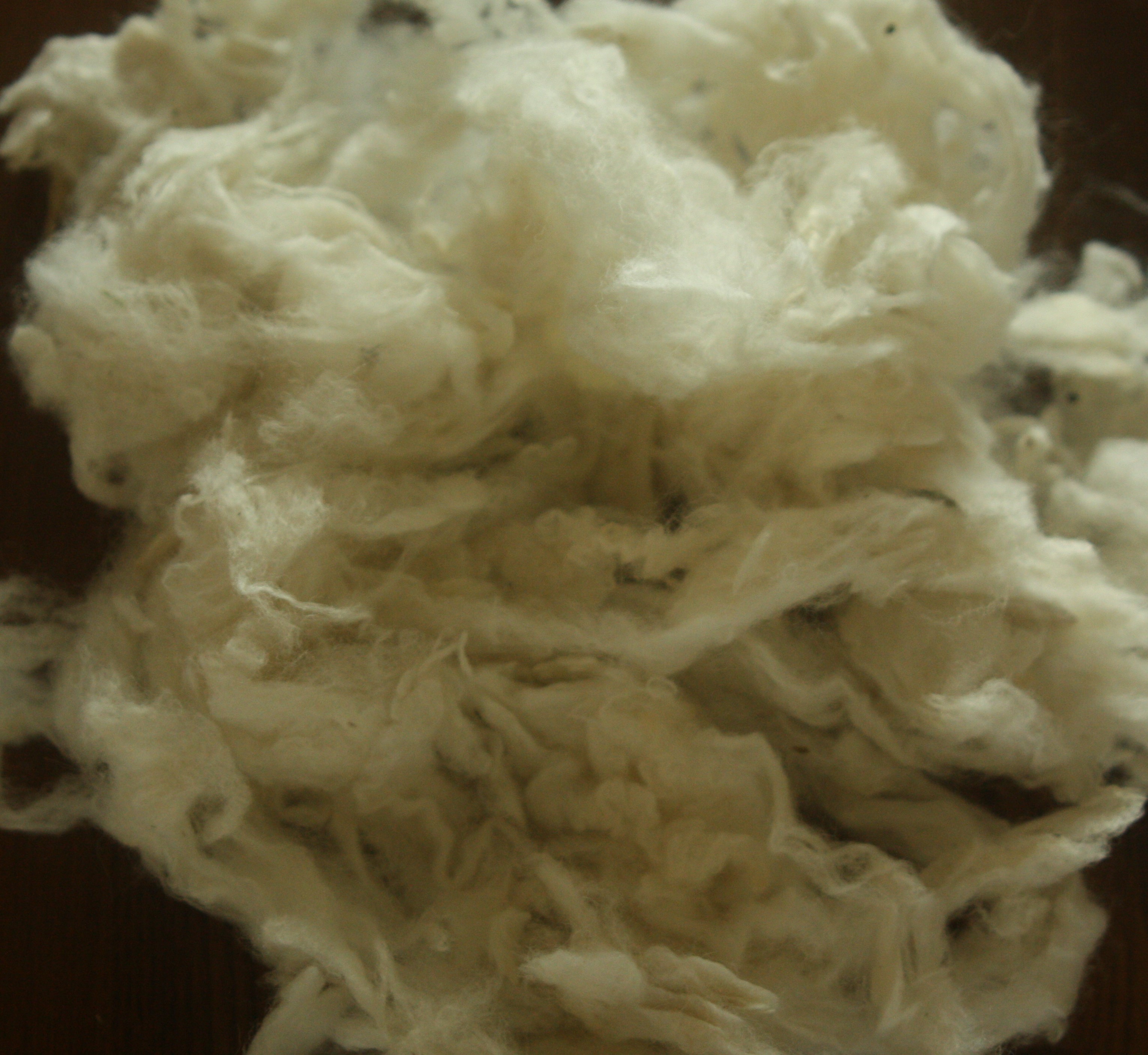 羊毛の種類◎コリデール◎コリデールの特徴と適した使い方