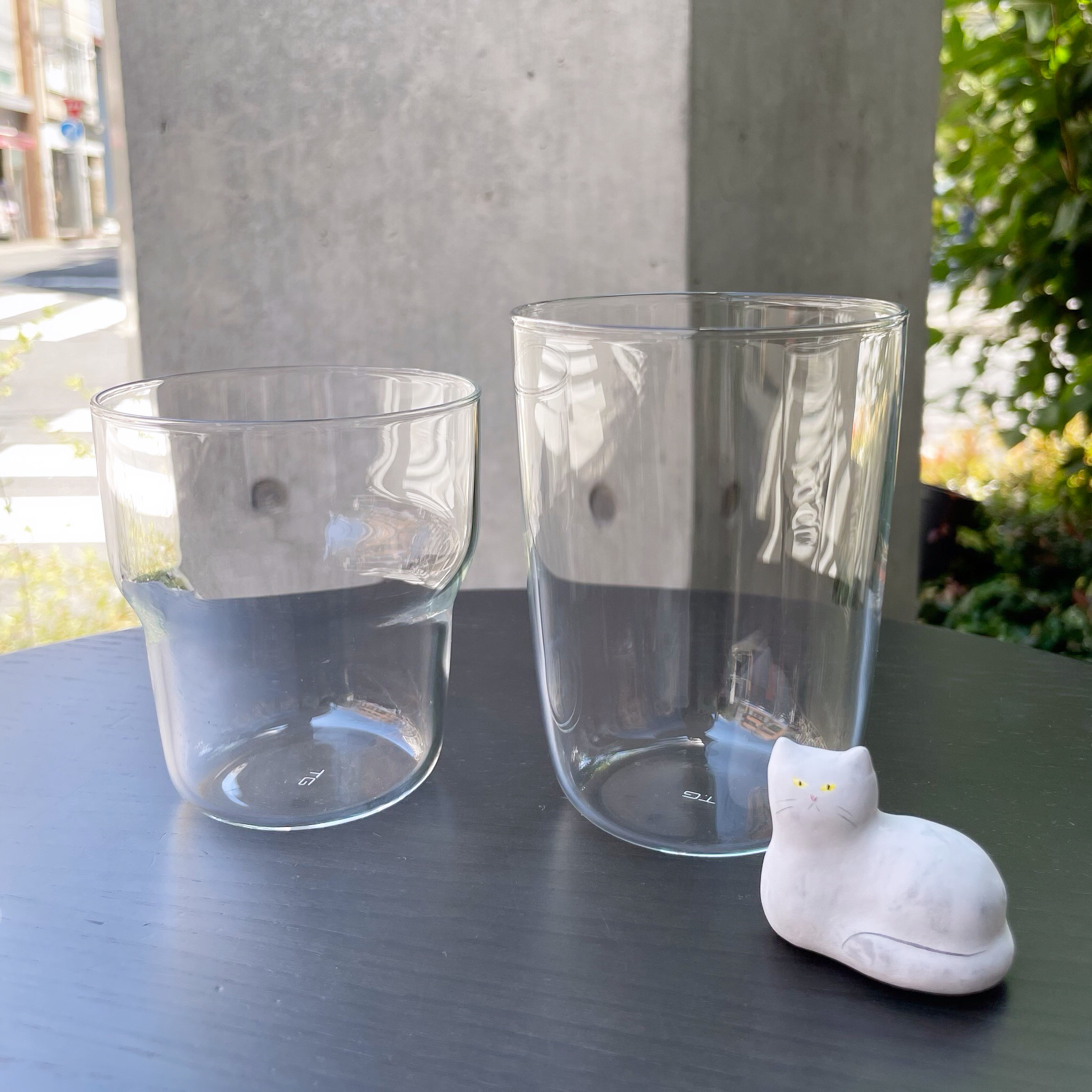 TG AQUA Heat-resistant Glass Cup
