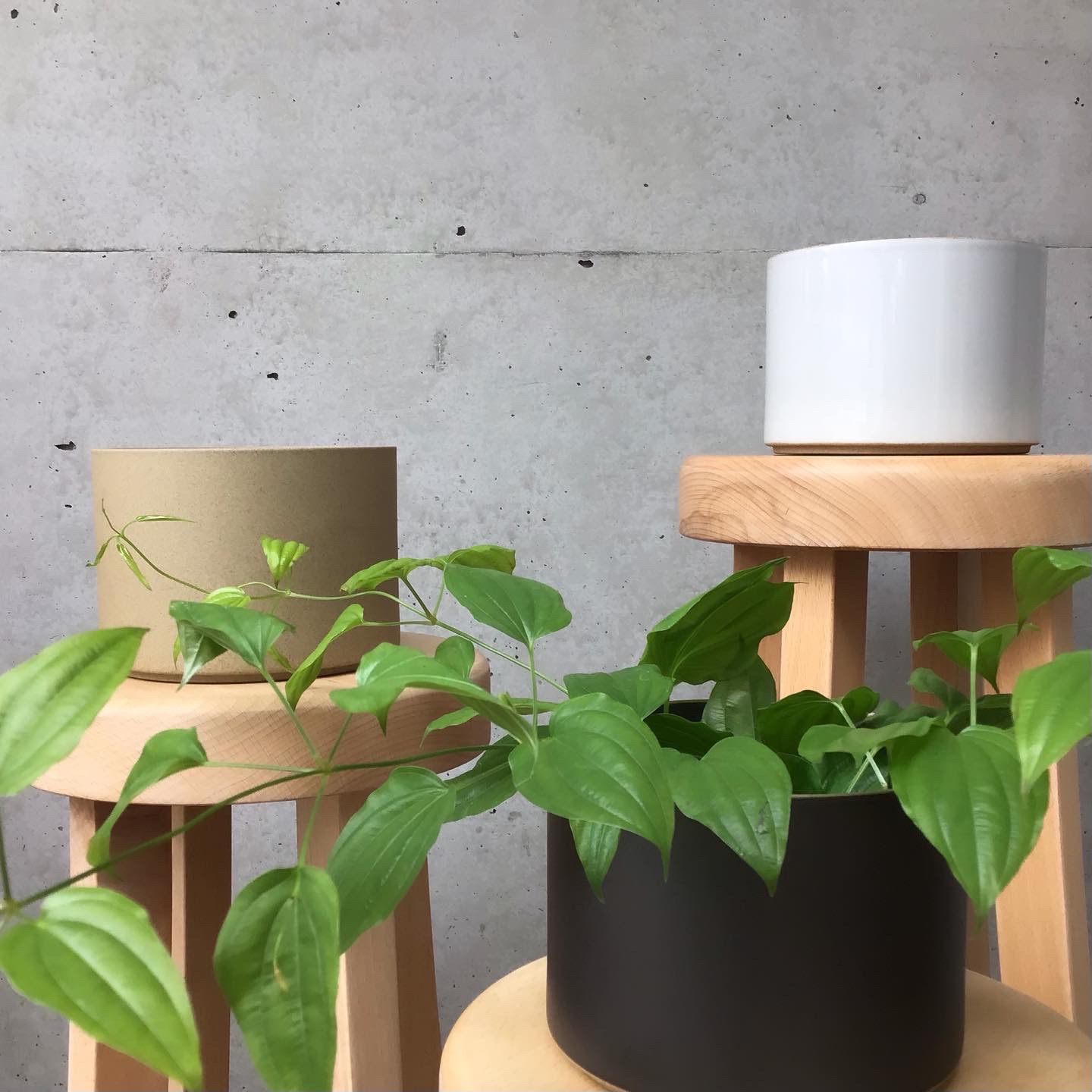 HASAMI PORCELAIN プランター
