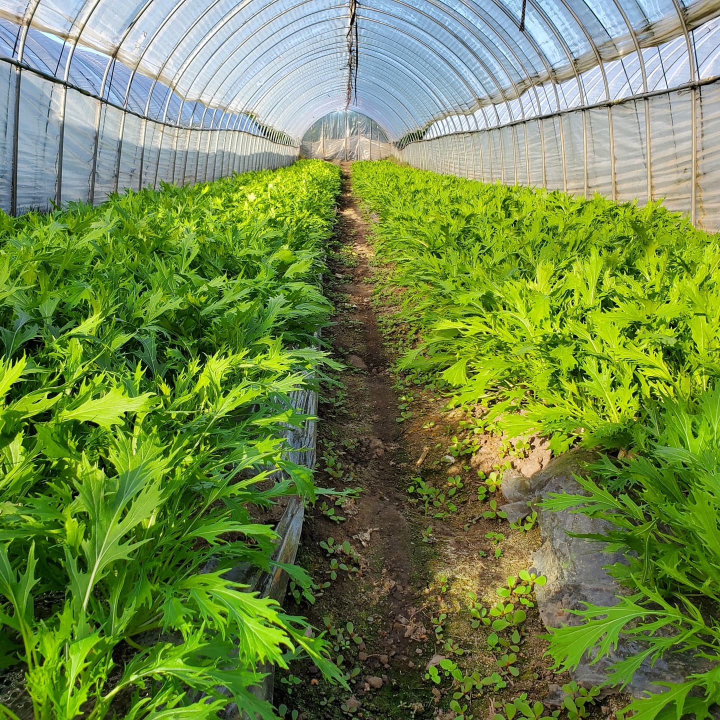 ９月になりましたね。