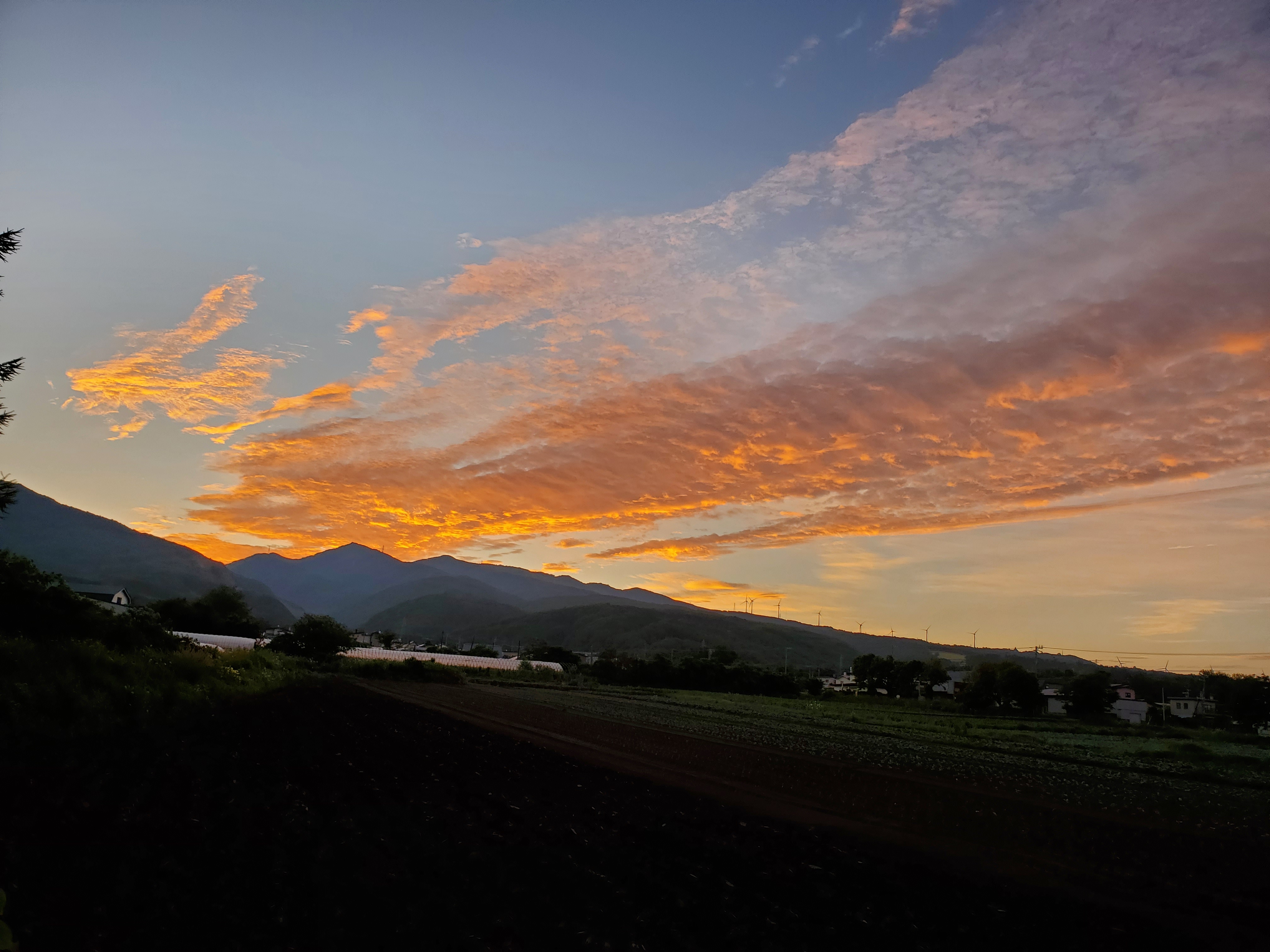今日は早朝、空を見上げると赤い空でした。