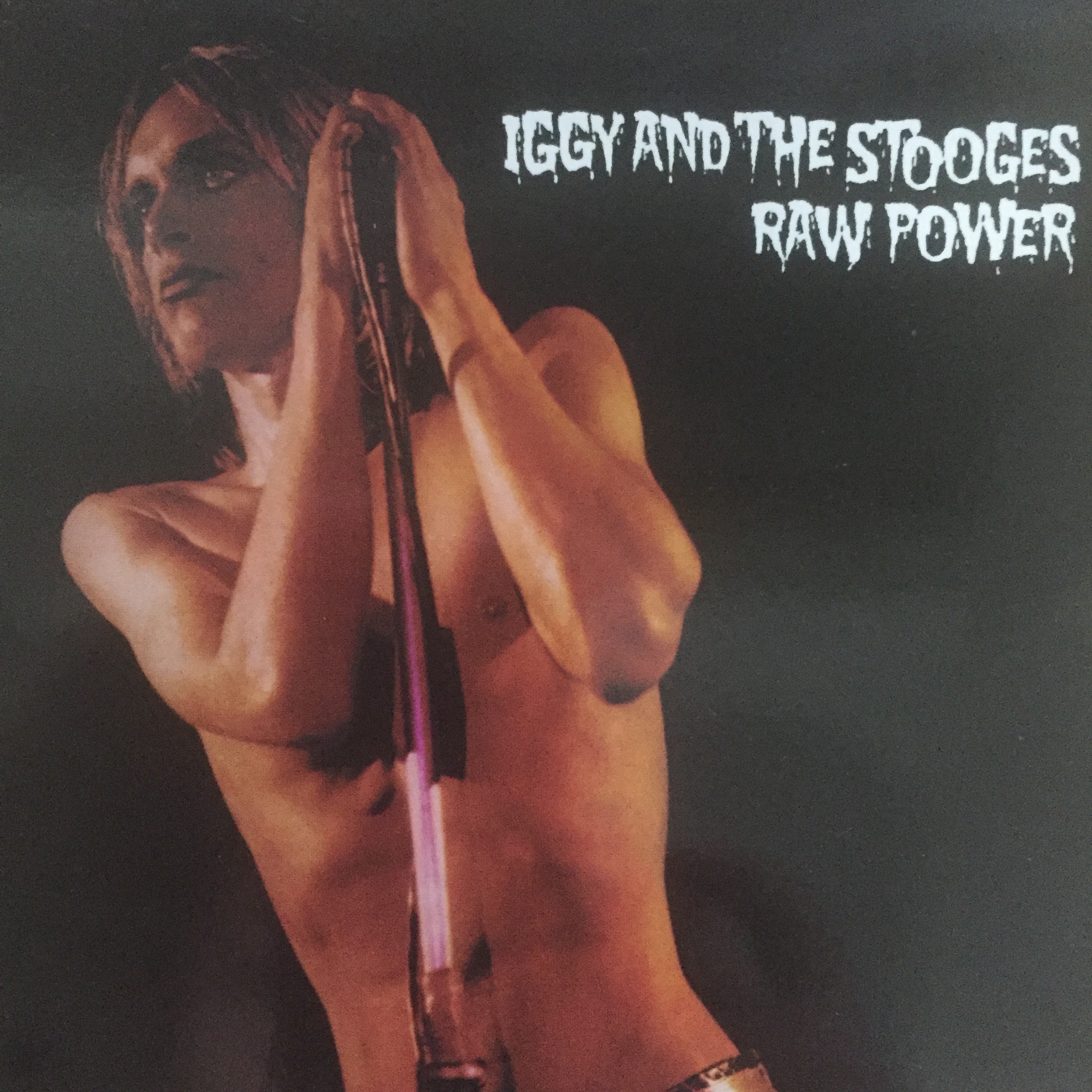 IGGY POP AND THE STOOGES 「RAW POWER」