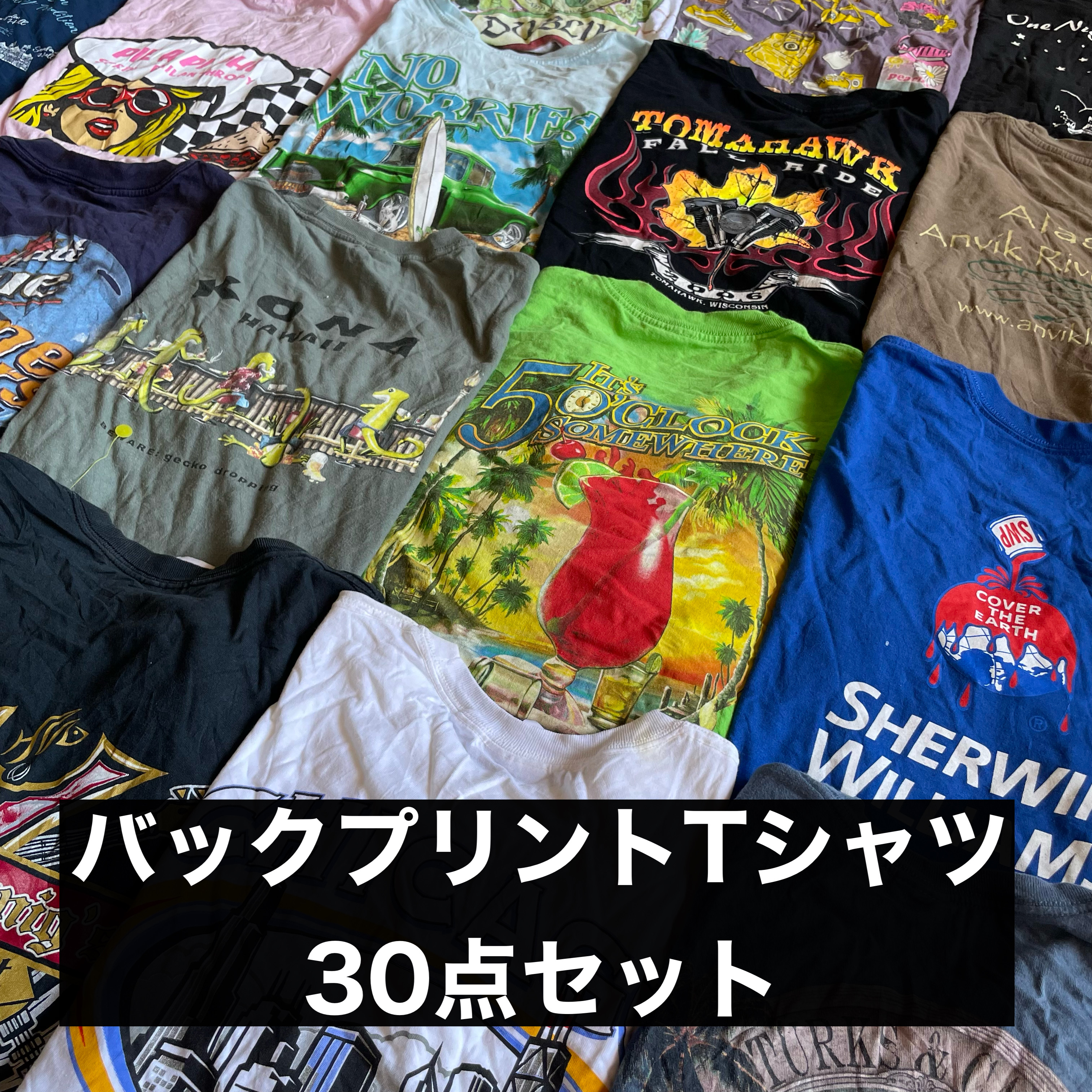 新登場‼️ バックプリントTシャツ30点セット🌎