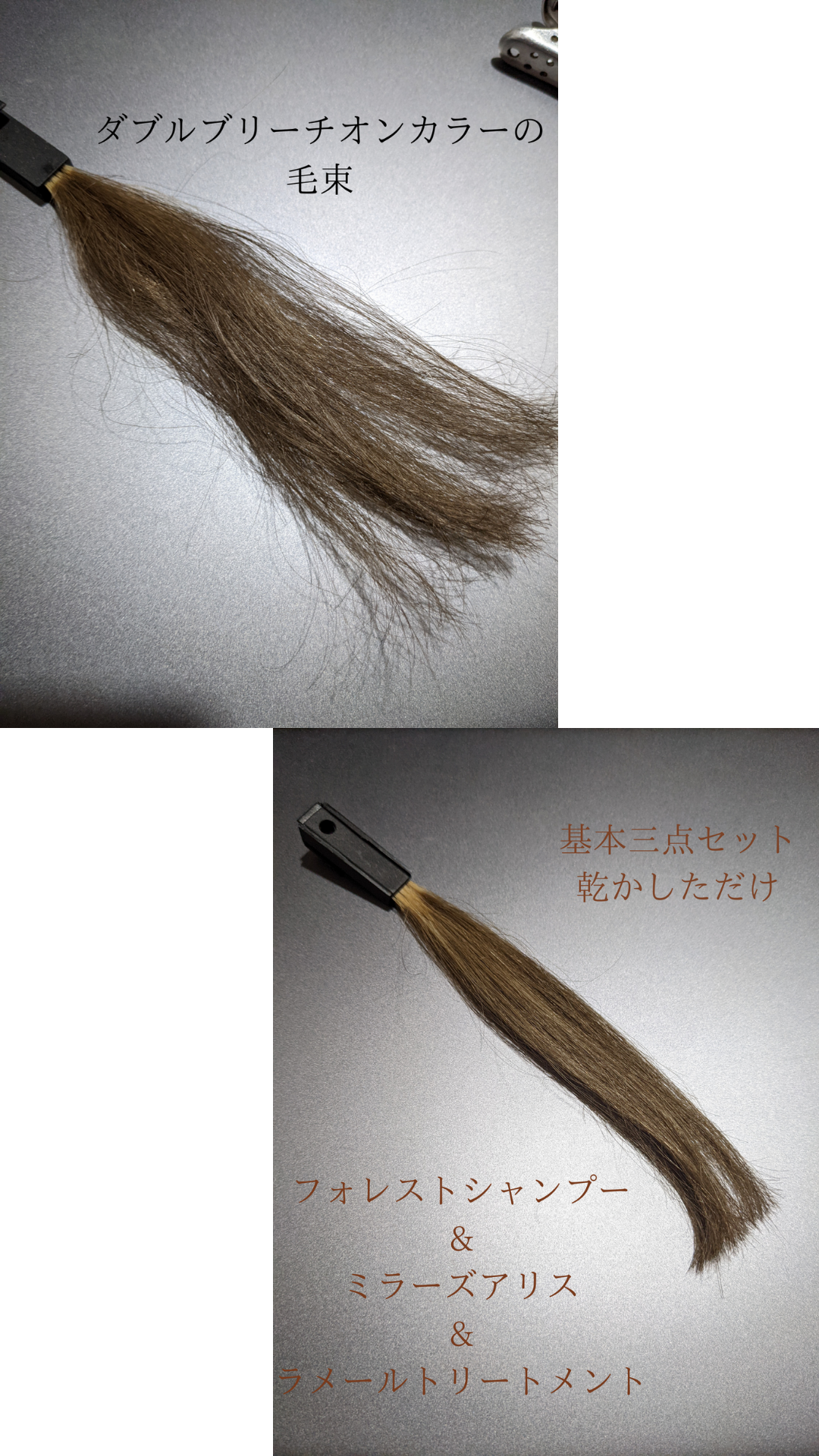 ヘアケア基本三点セットの効果検証!