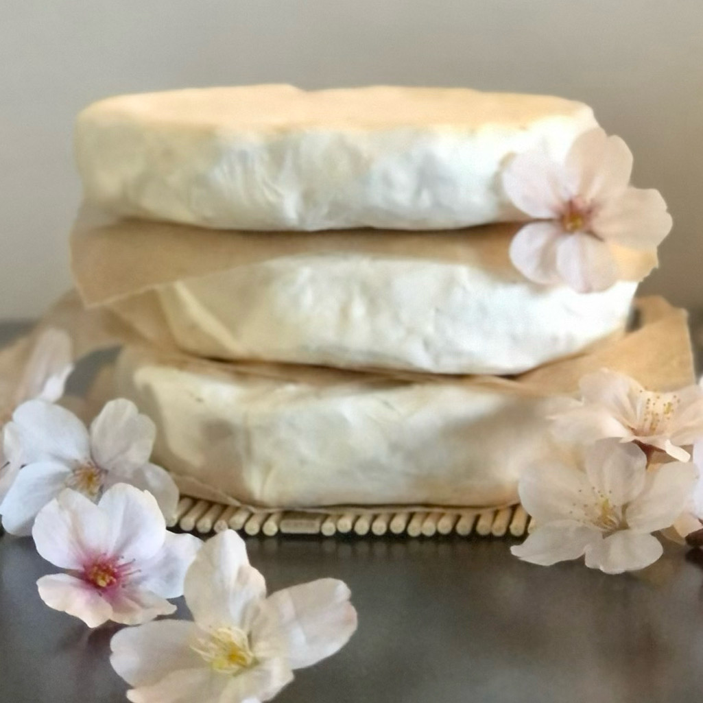 桜とヴィーガンチーズ🌸