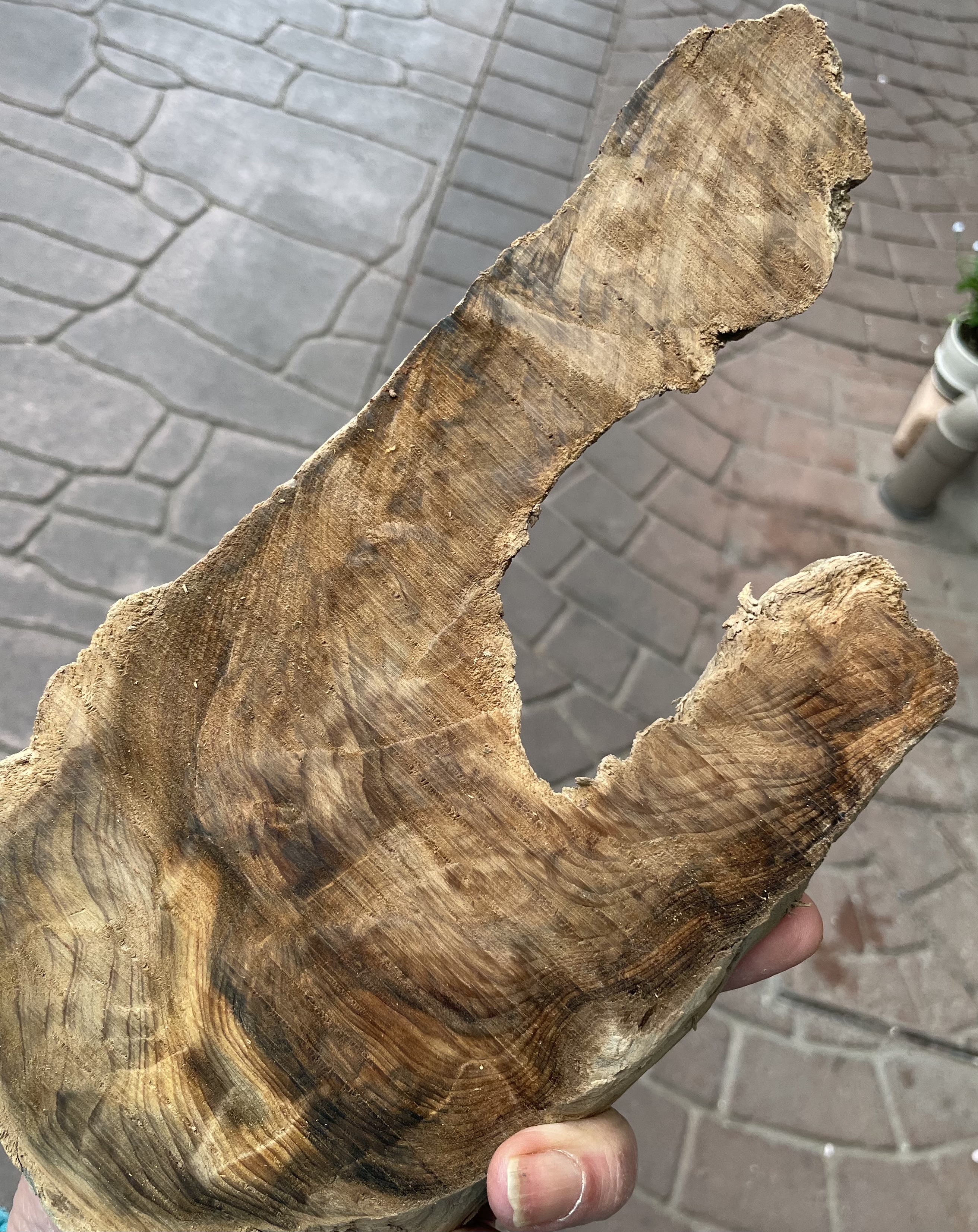 流木屋久杉虎杢の中身