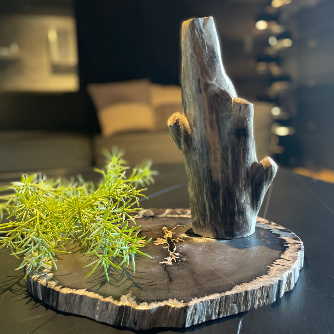時を閉じ込めた天然アート【珪化木オブジェ＆プレートセット】の魅力