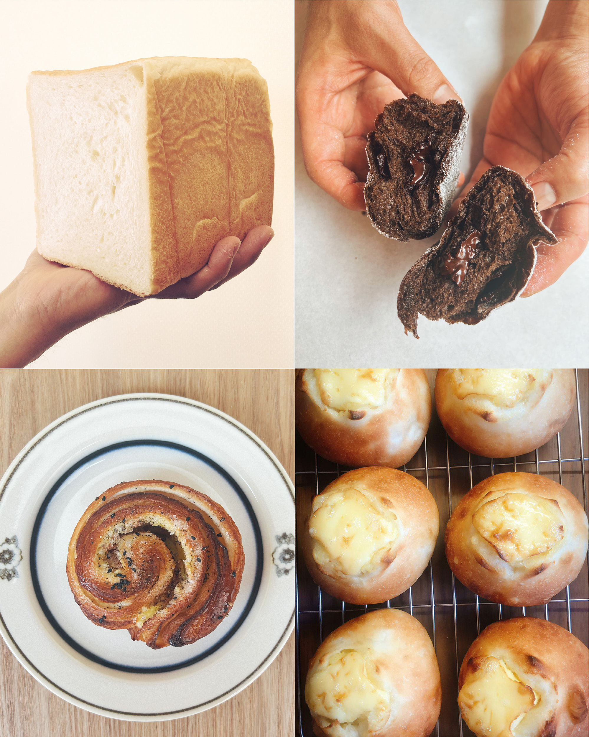 【出店情報】10/5 いぬねこ11番地 IN 大崎市古川