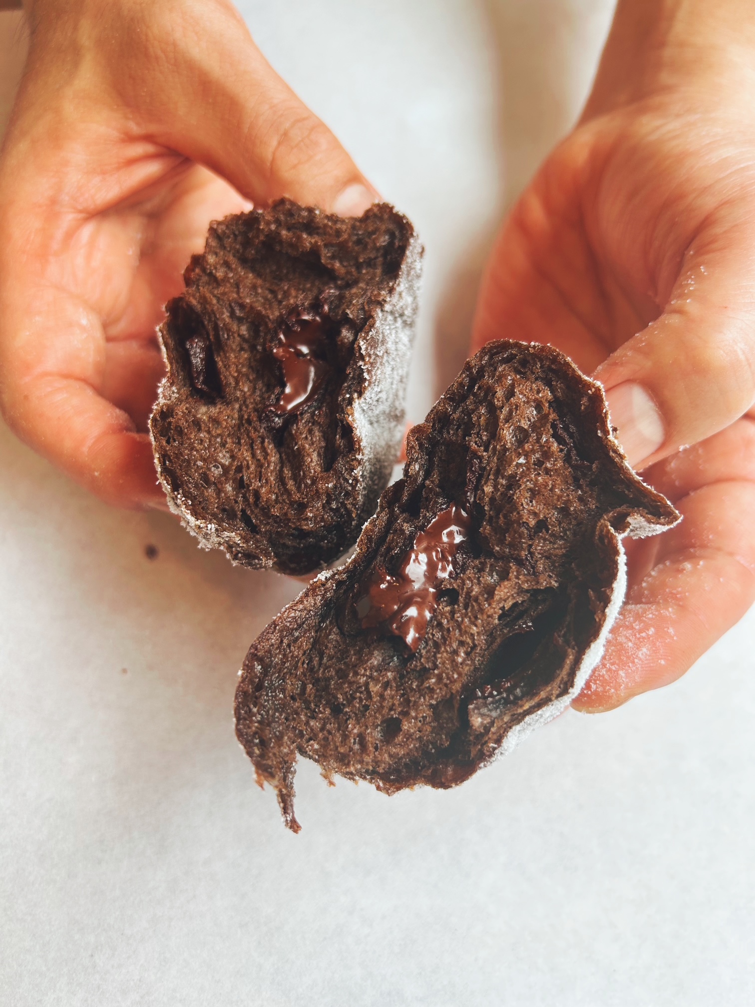 【NEW!!】ドーナツ・ショコラ