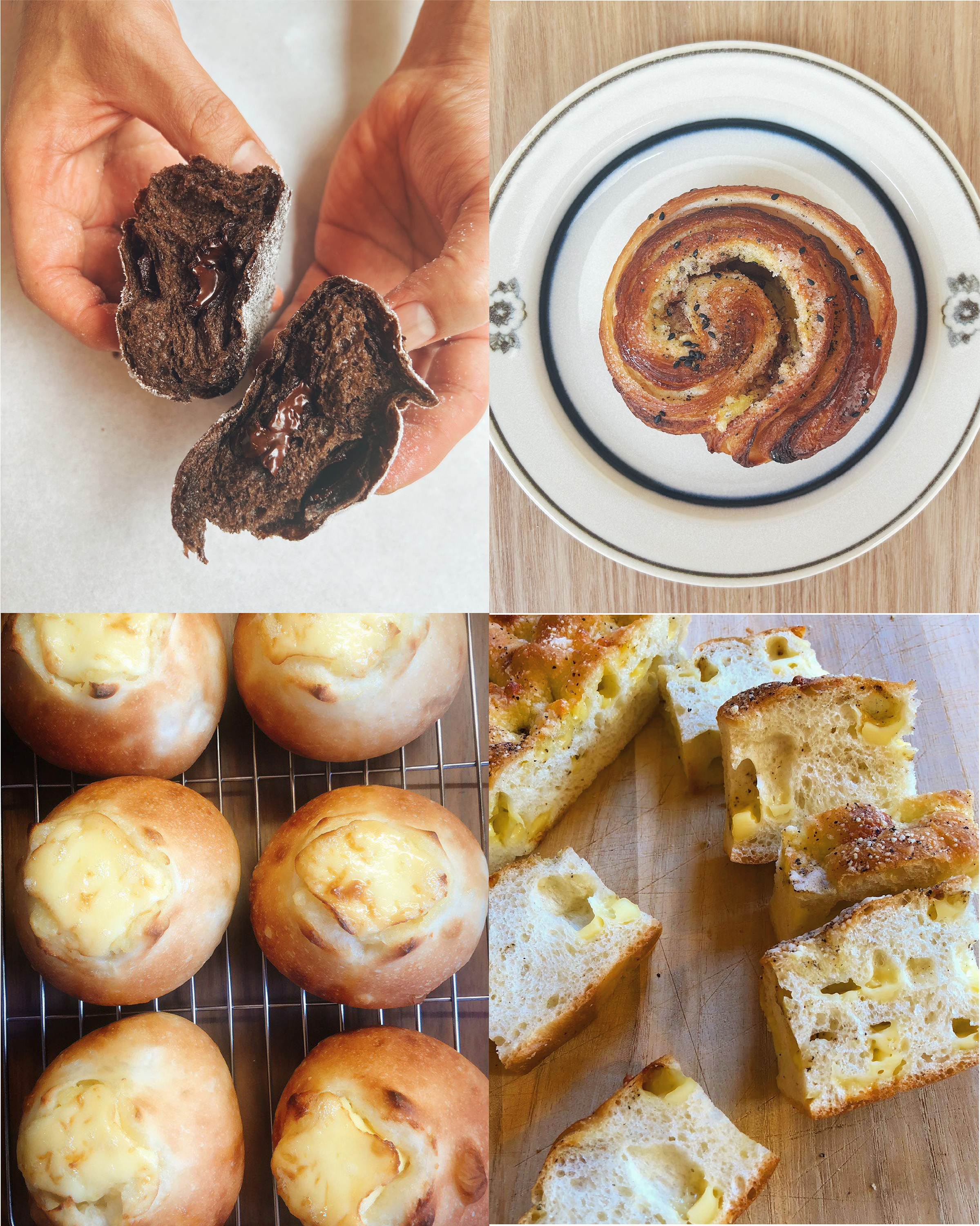 【出店情報】10/19 SENDAI BREAD FES IN 青葉山公園