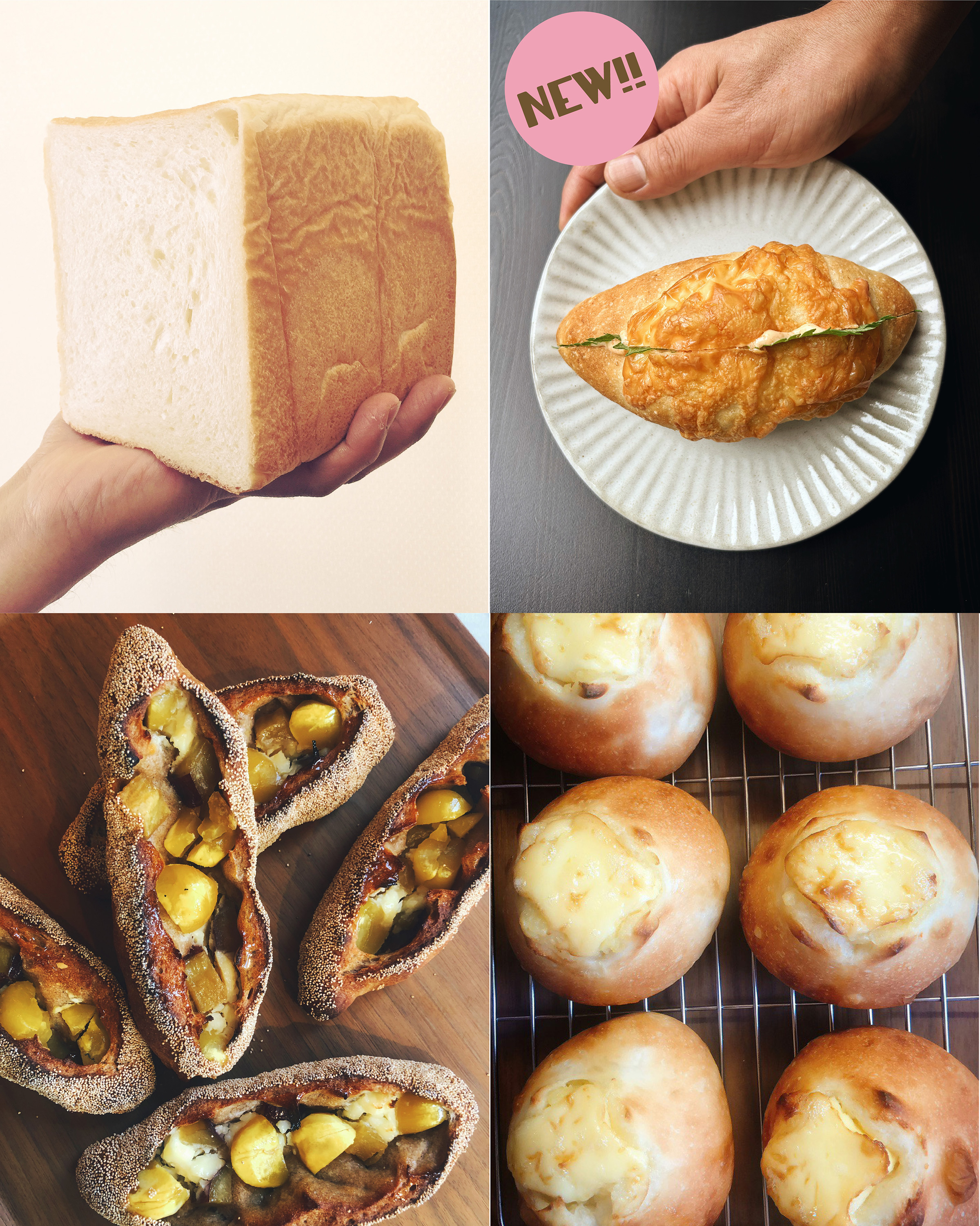 【出店情報】11/16 日々IN禾食や