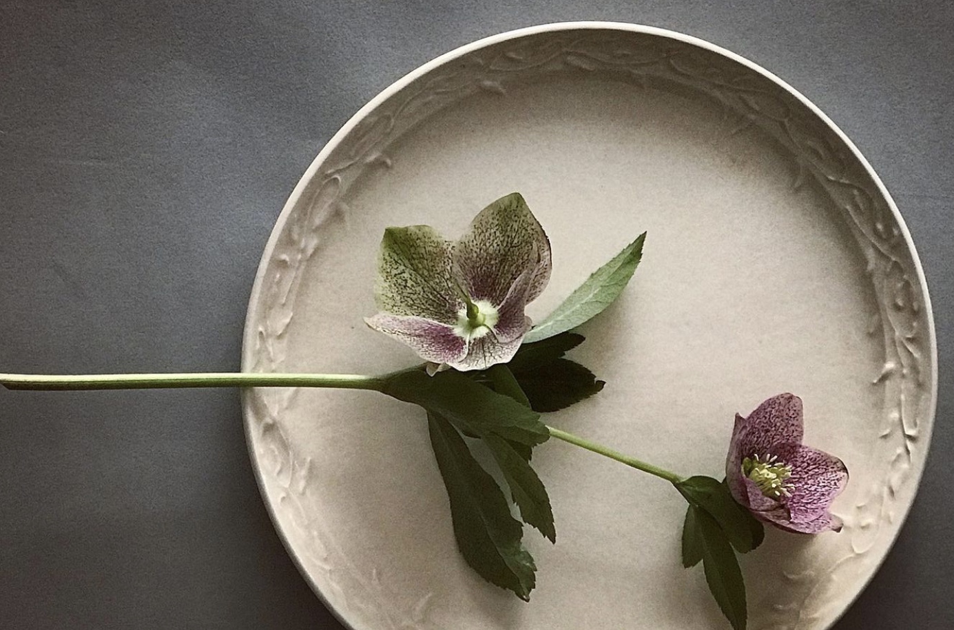 うつわ作家SHUNKAの小さなOnline Shop、オープンしました!