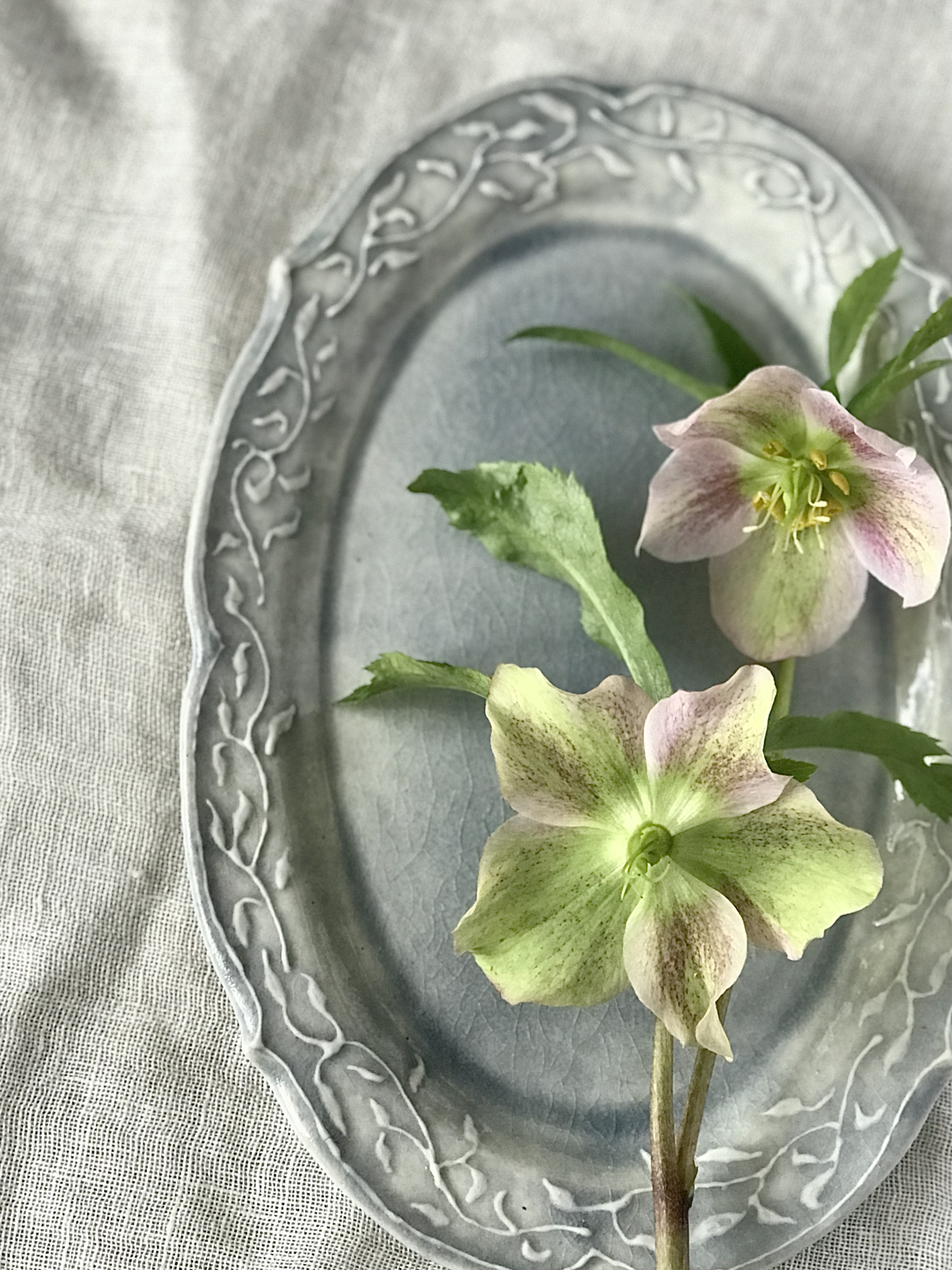 「大人の焼き物オンラインショップ」にて新作販売中!