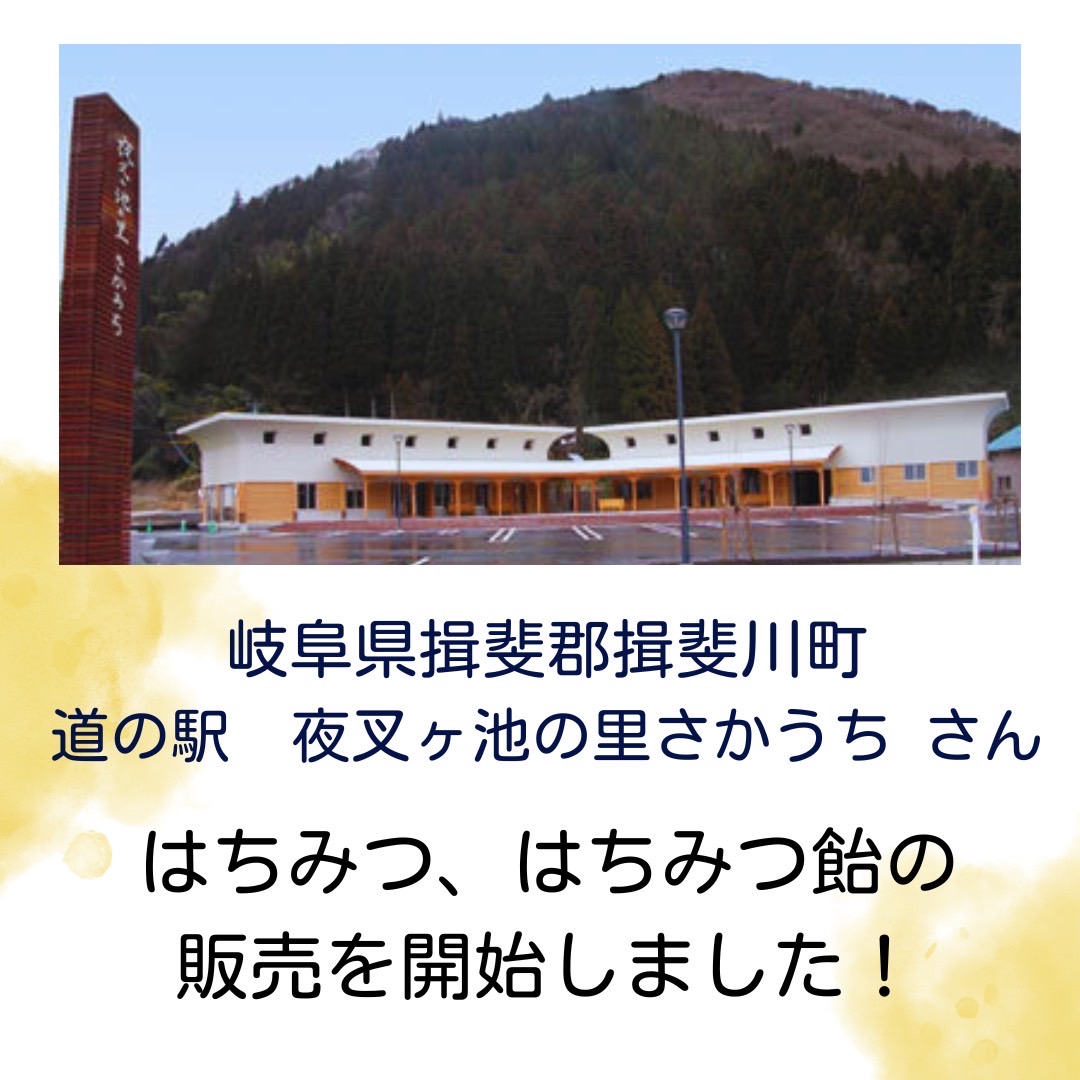 「道の駅 夜叉ヶ池の里・さかうち」さんにてはちみつ販売スタート