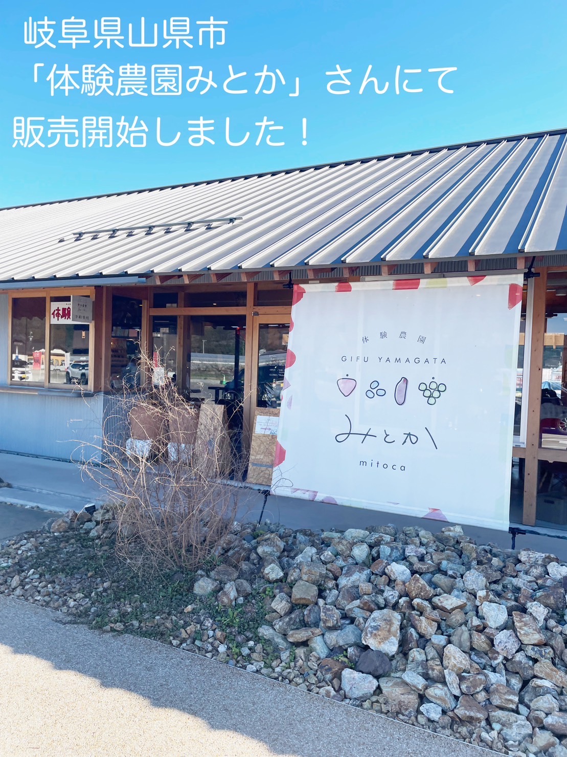 岐阜県山県市「体験農園みとか」さんではちみつ王国の商品販売スタート