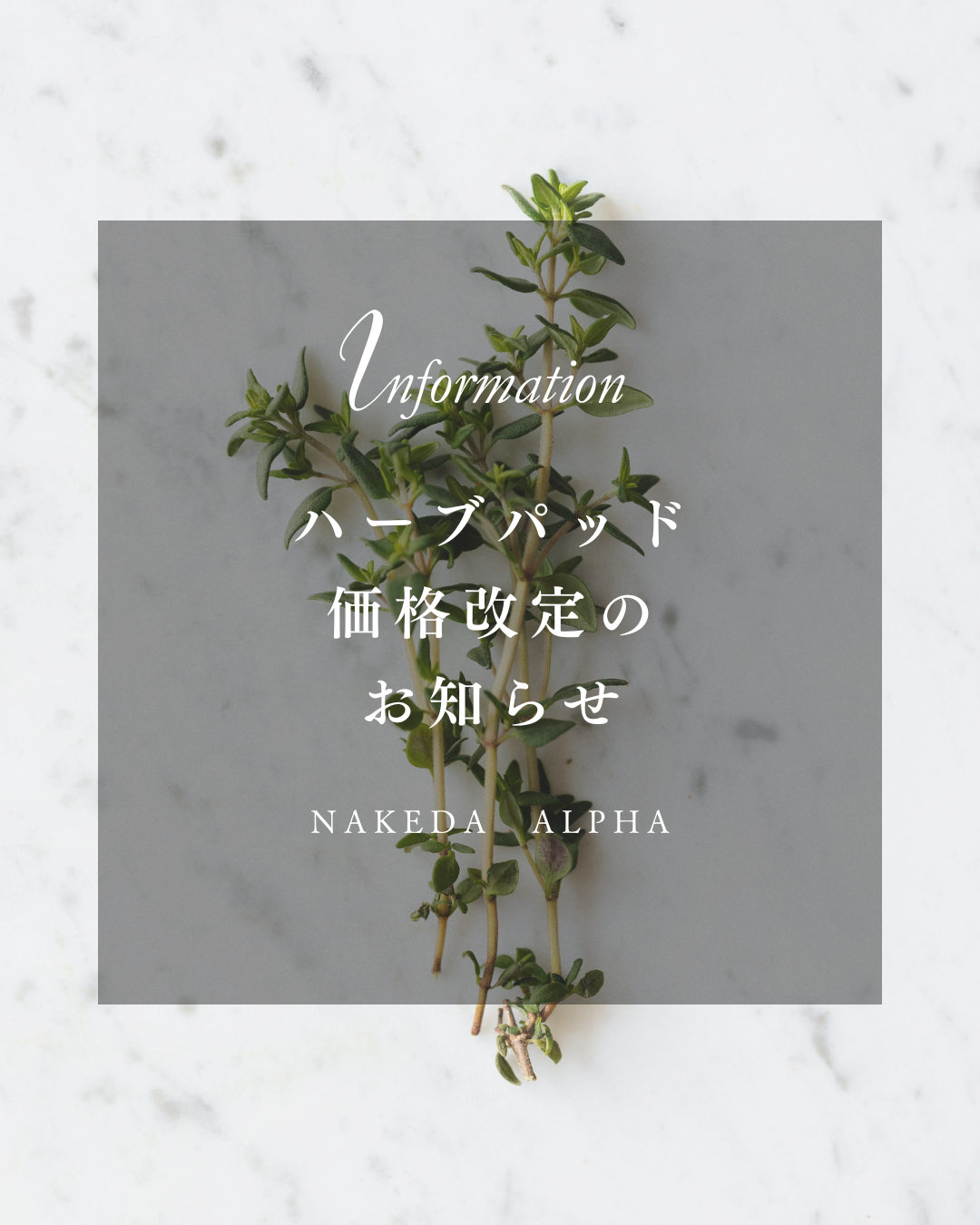 ハーブパッド価格改定のお知らせ