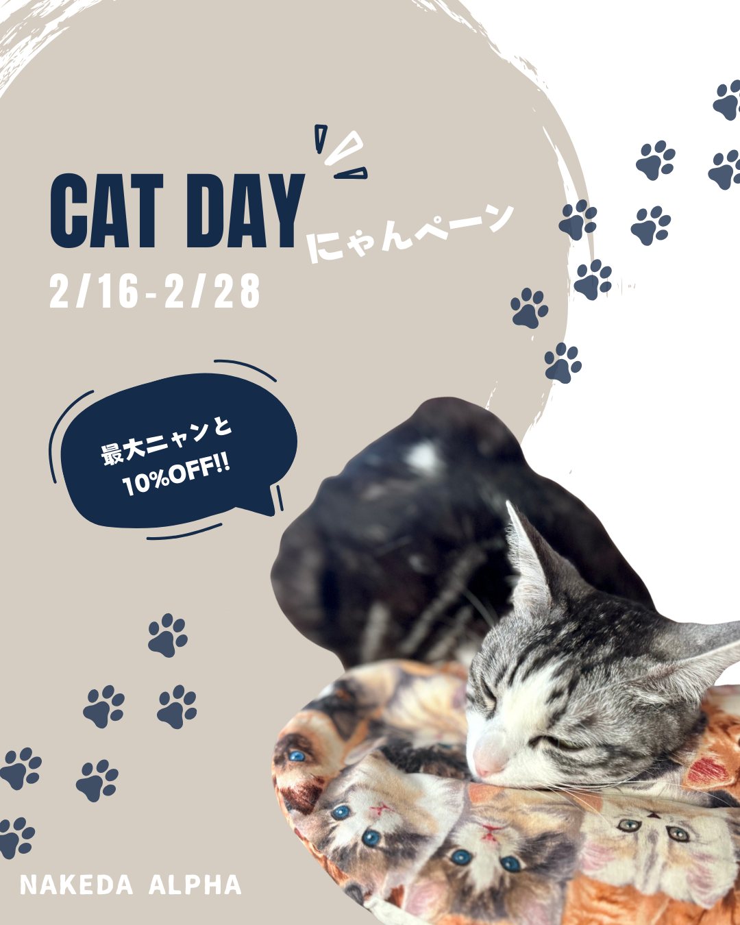 🐾 猫の日にゃんペーン🐾ハーブパッドが最大10%OFFに!