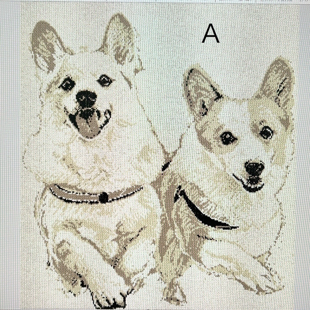 躍動感あふれるクッションカバー②