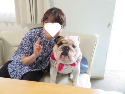 ブルドッグの服(お客様からの可愛いお写真)ワンピース