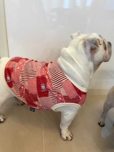ブルドッグの服(お客様からの可愛いお写真)tタンクトップ