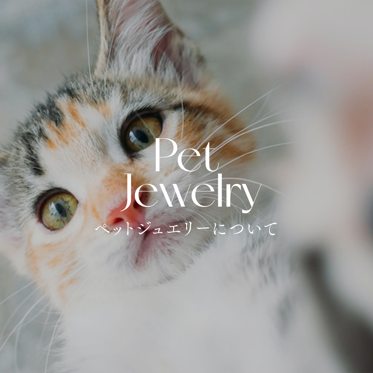 大切な“うちの子”をホンモノ素材でジュエリーに。