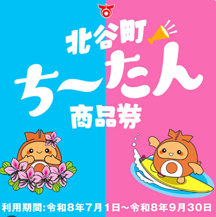 ちーたん商品券利用できます。
