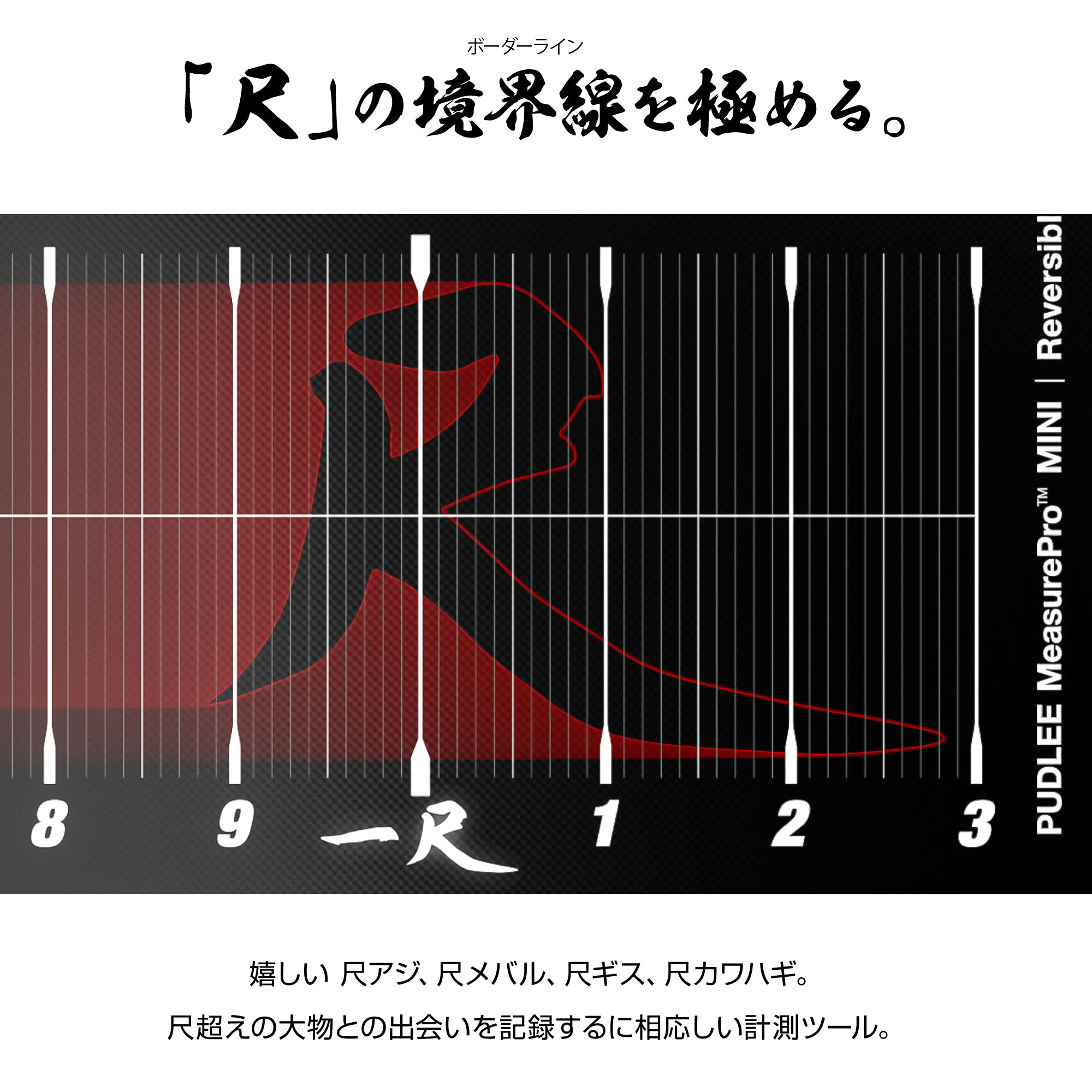 10/3 昼12時より PUDLEE MeasurePro™ MINI 再販開始します！