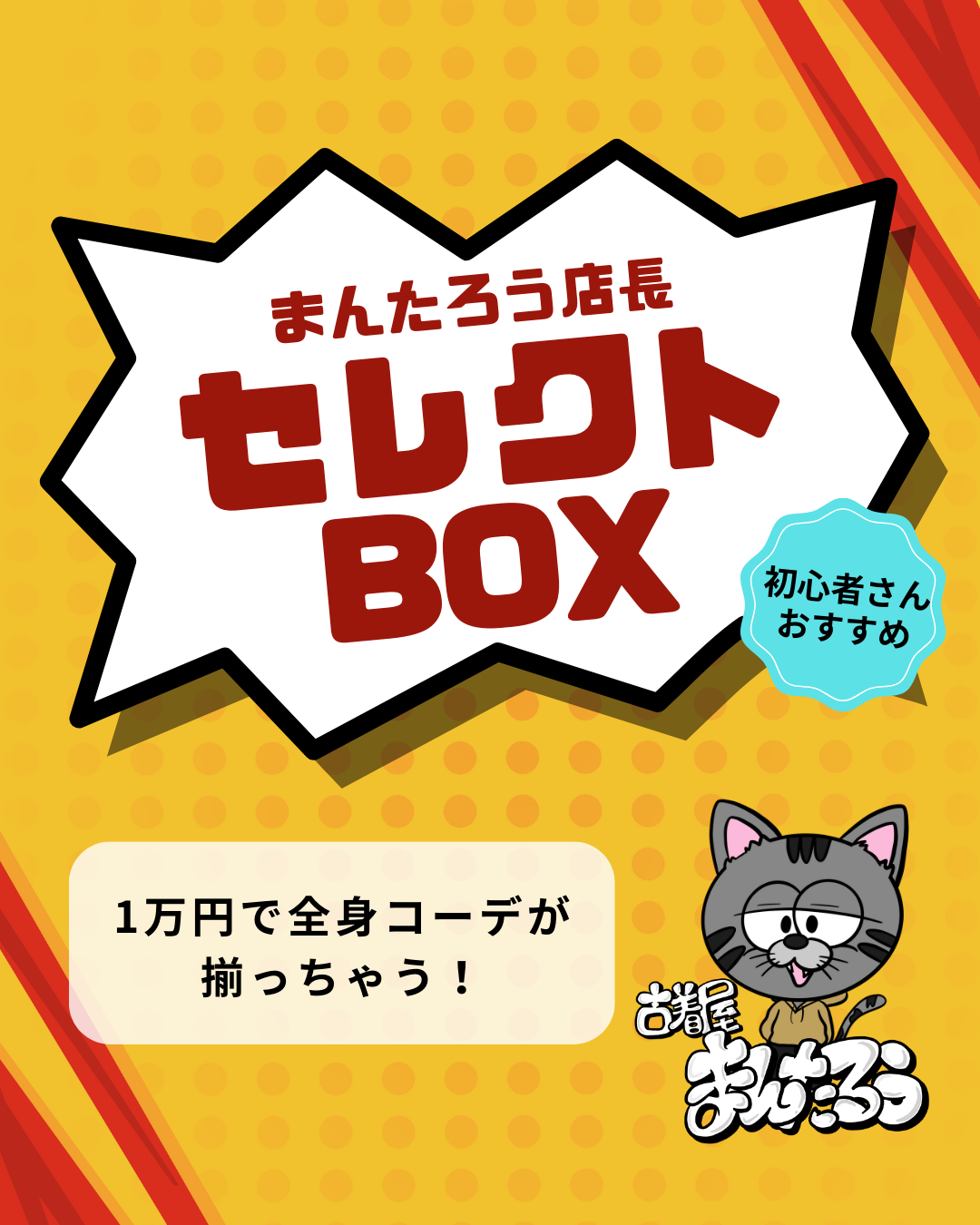 まんたろう店長セレクトBOX販売開始です‼️
