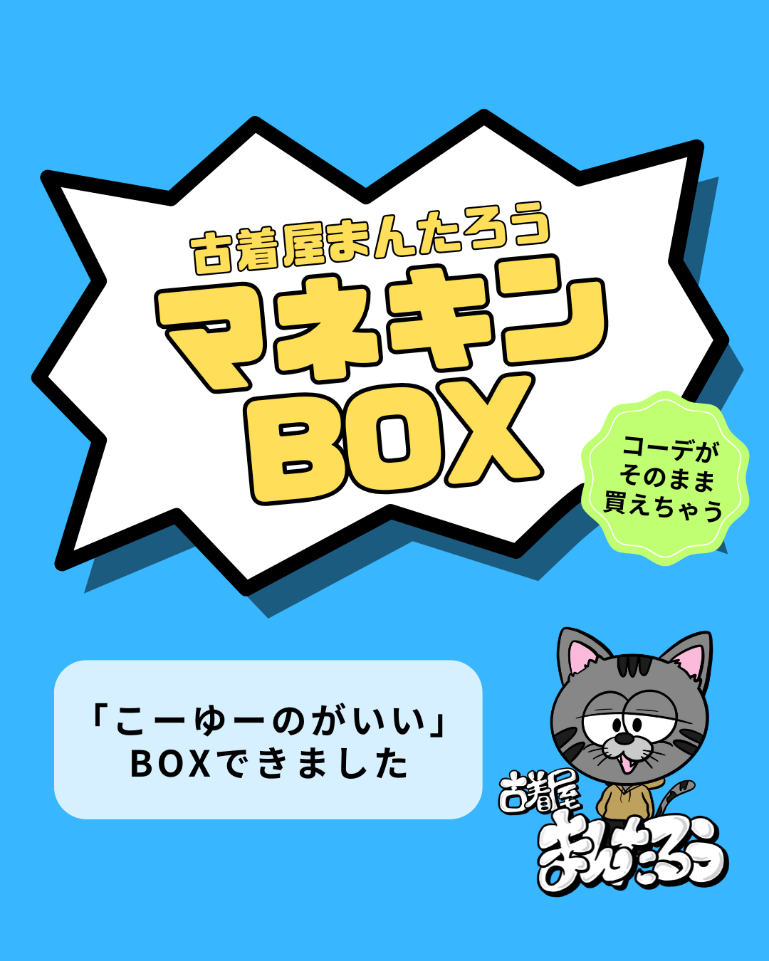【販売開始】マネキンBOX販売開始です！
