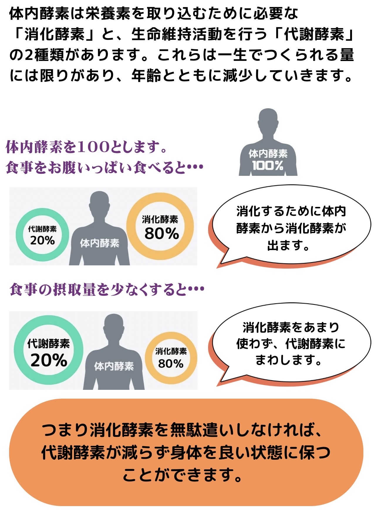 「酵素」って、体の中でどんな働きをするの？