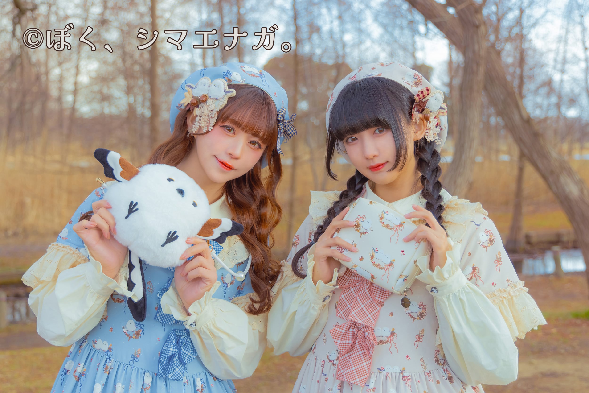 【シリーズ紹介】ぼく、シマエナガ。× HoshibakoWorks Collaboration