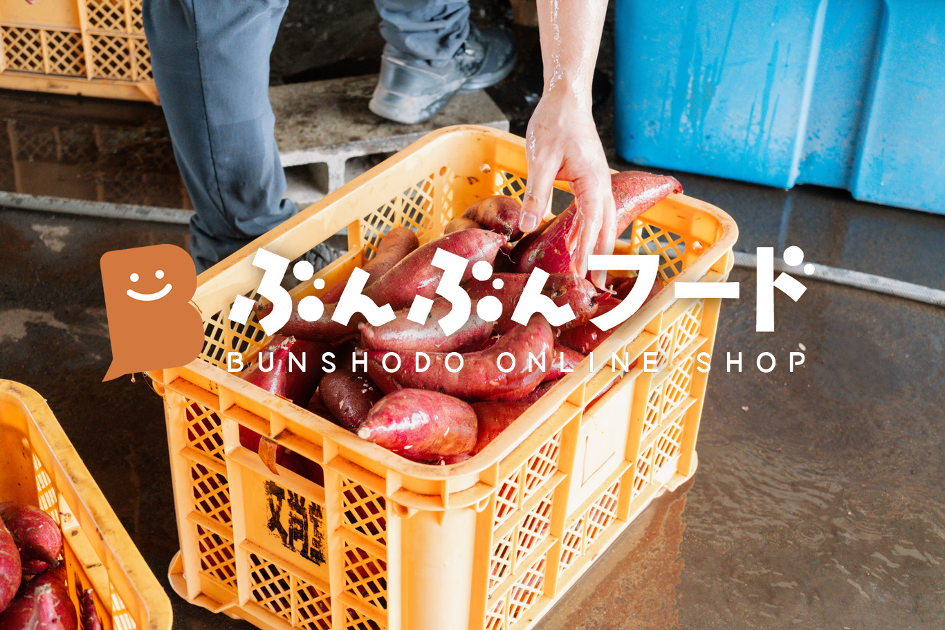 【第十回】2026年スタート！熟成が極まったお芋と、今年初のイベントのお知らせ