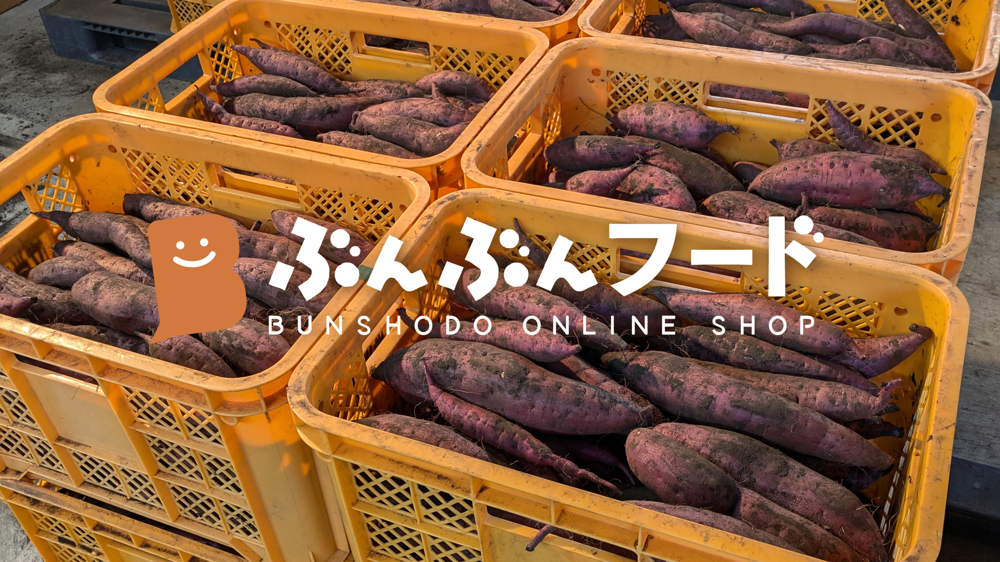 【第七回】絶賛甘さ育成中！熟成生芋の予約販売スタート！