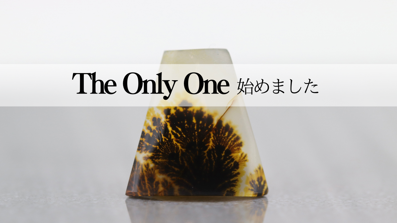 The Only Oneシリーズについて