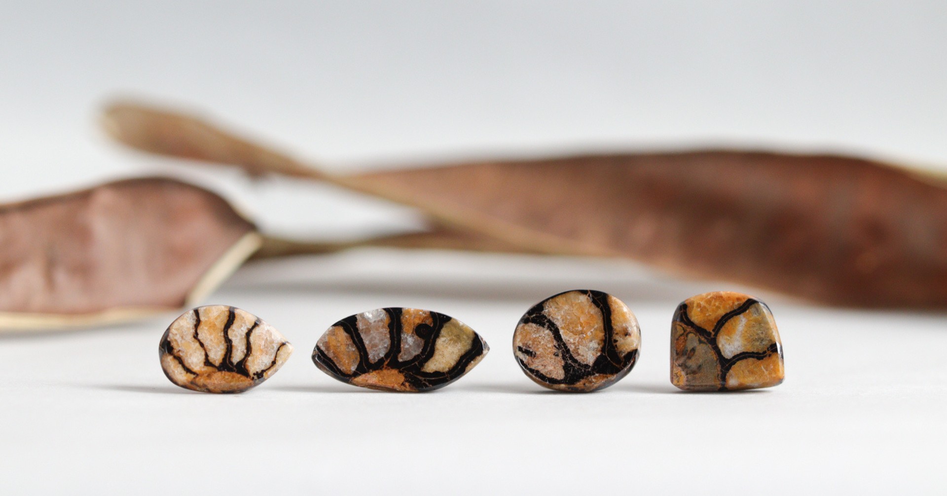 新作予告|Fossilia:"記憶を纏う"アンモナイトのK14シングルスタッドピアス