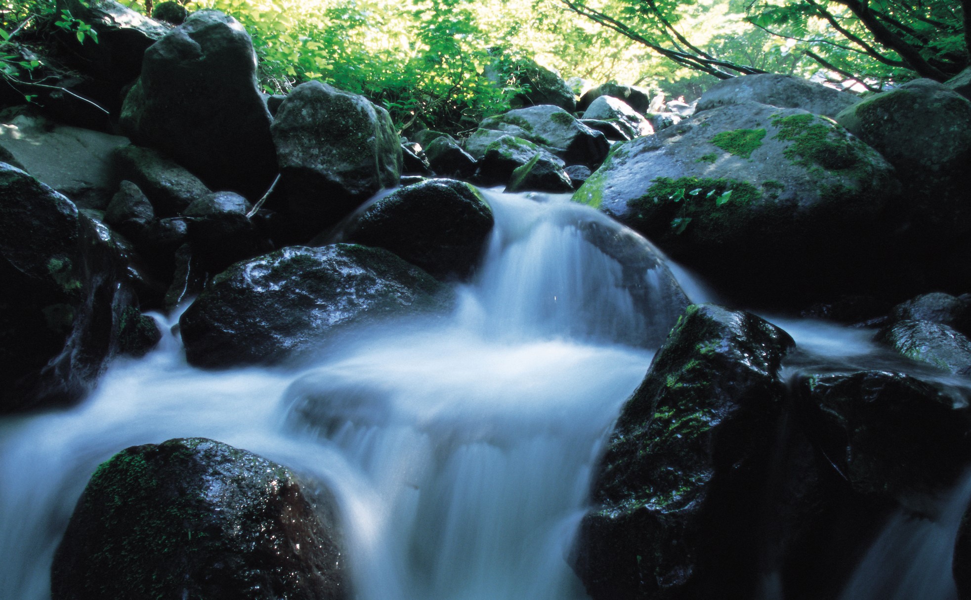 全国名水百選に指定された「杜々の森」湧水、美しい自然に囲まれた森の裾から湧き出る清水です。