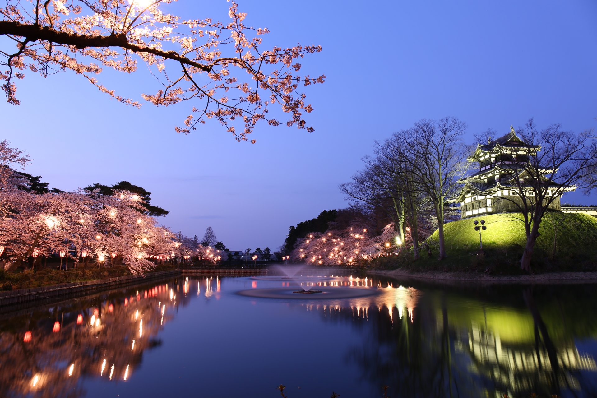 新潟にも桜の季節がやってきました。今回は日本三大夜桜の高田城址公園の夜桜のご紹介です。