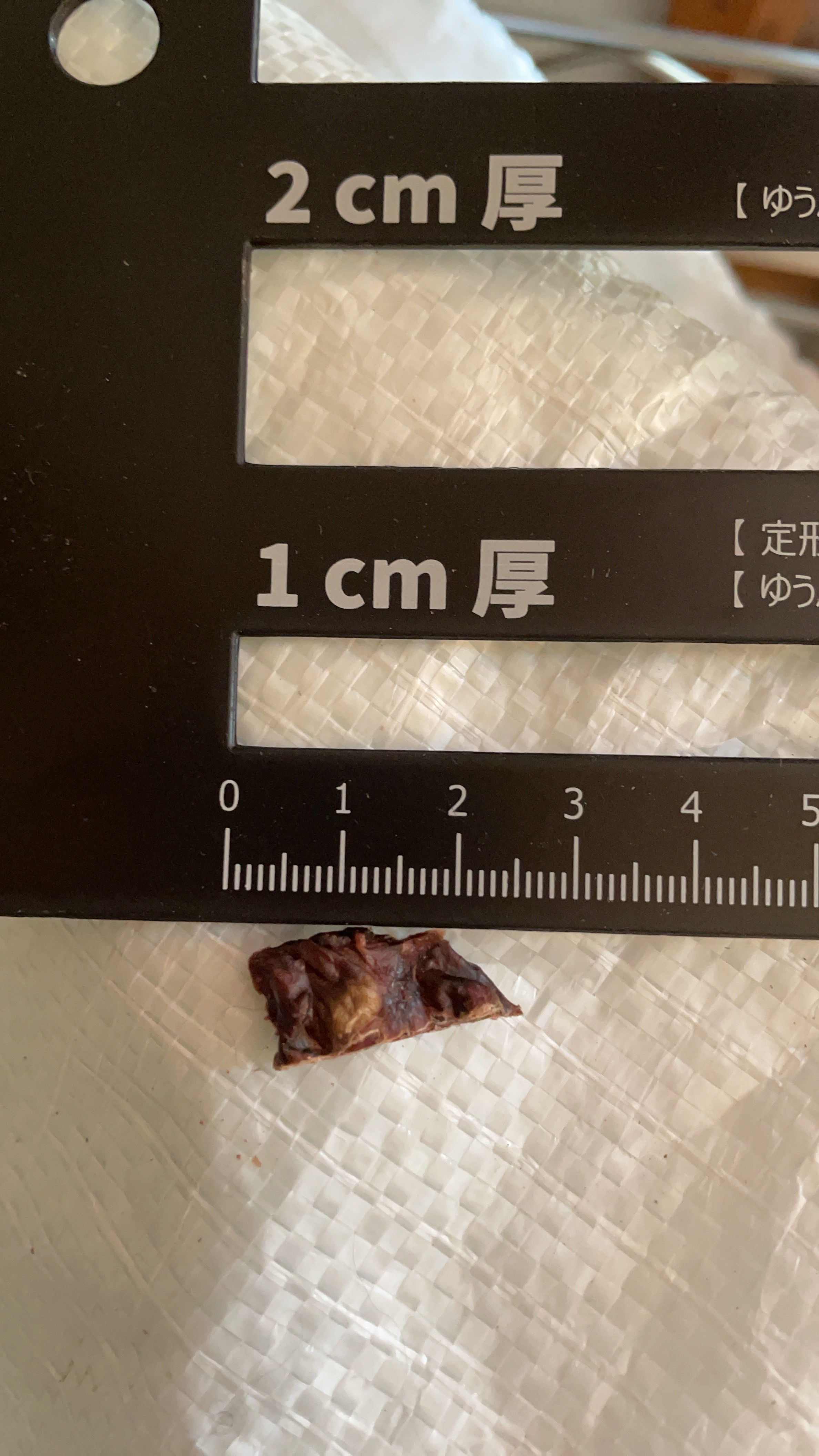 オーダー(予約)が出来るようになりました