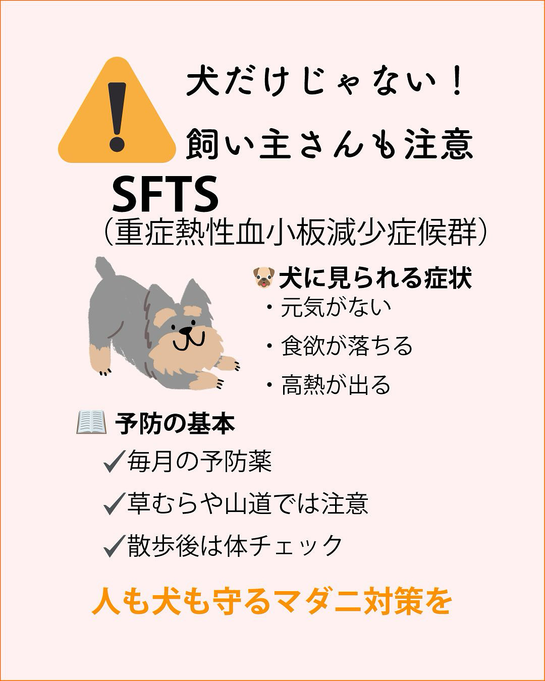 🦠 飼い主さんも注意！犬からうつることもある「SFTS」とは？