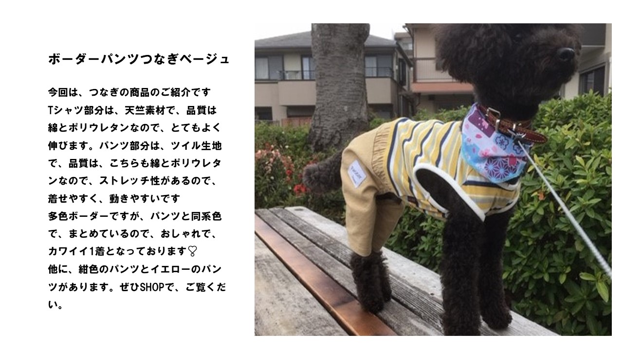 春夏おススメ